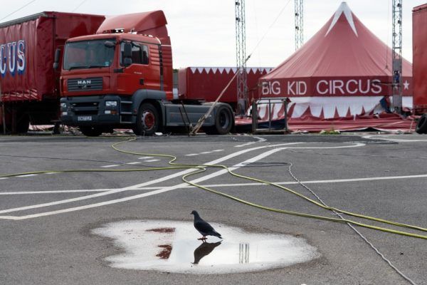 One of Julie Pinnington Wright's images of the Big Kid Circus. A photograph taken from floor level. In the foreground a pigeon stands in a small puddle and in the background a circus truck and circus tent take up the frame.