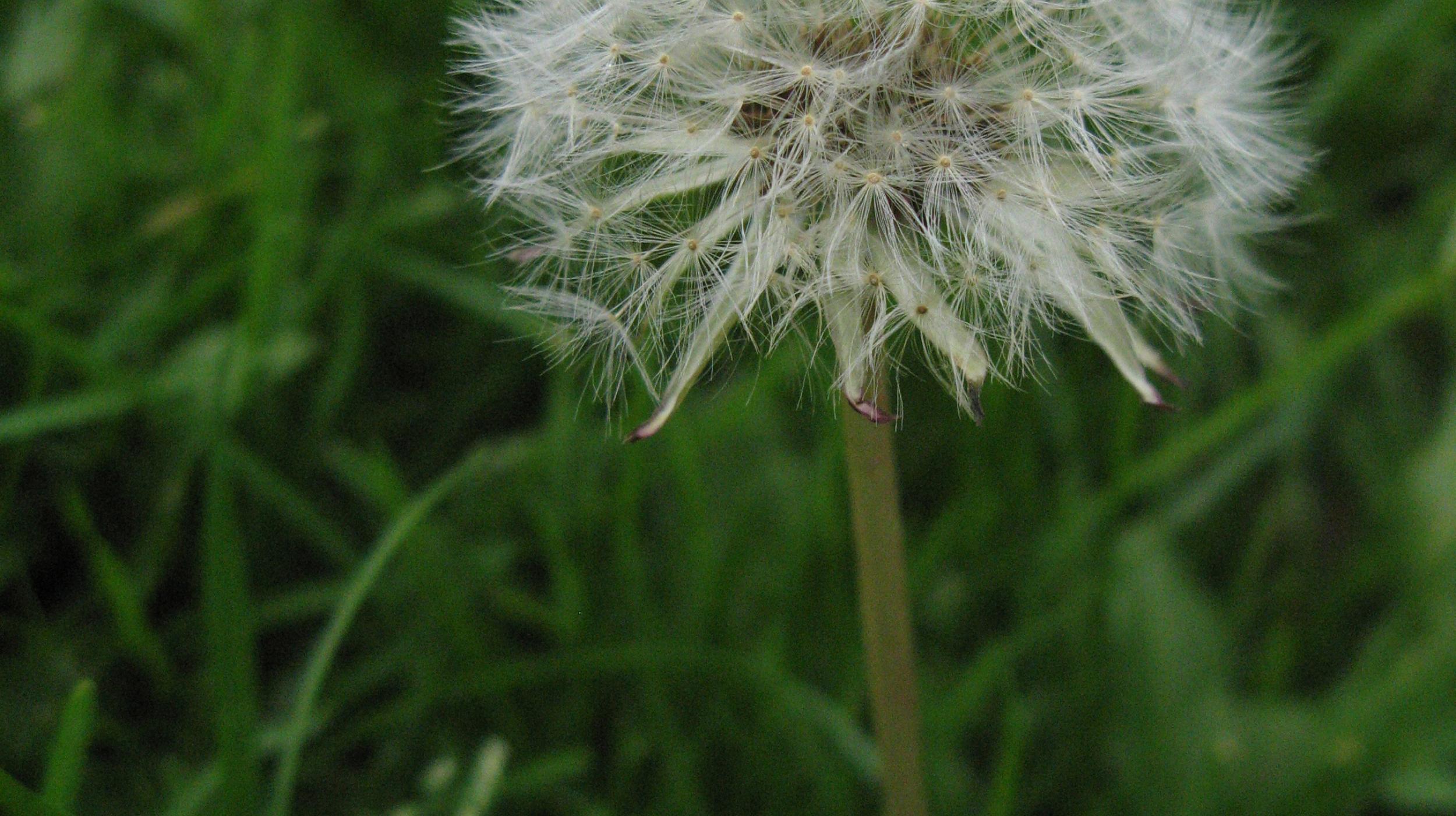 Making Time Symposium