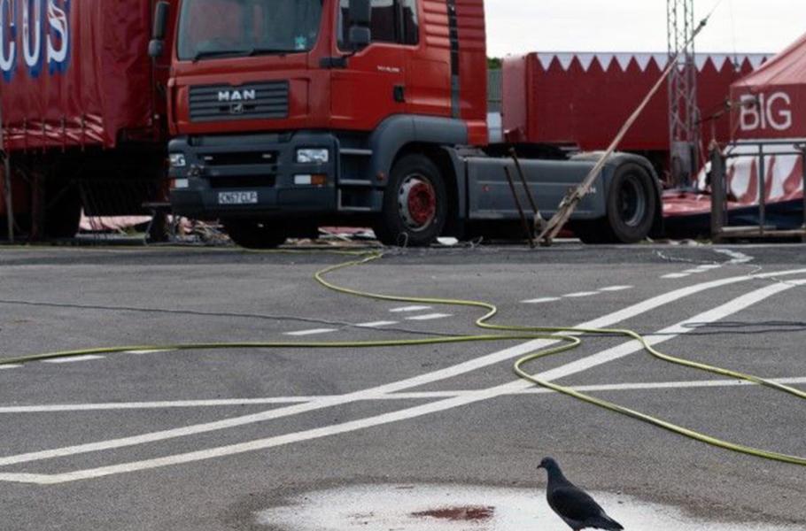 Is There Anybody Out There?