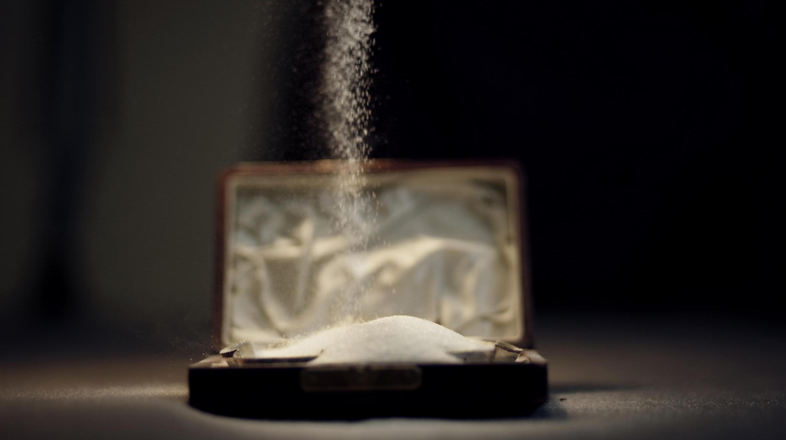 Sheila Ghelani & Sue Palmer: Common Salt