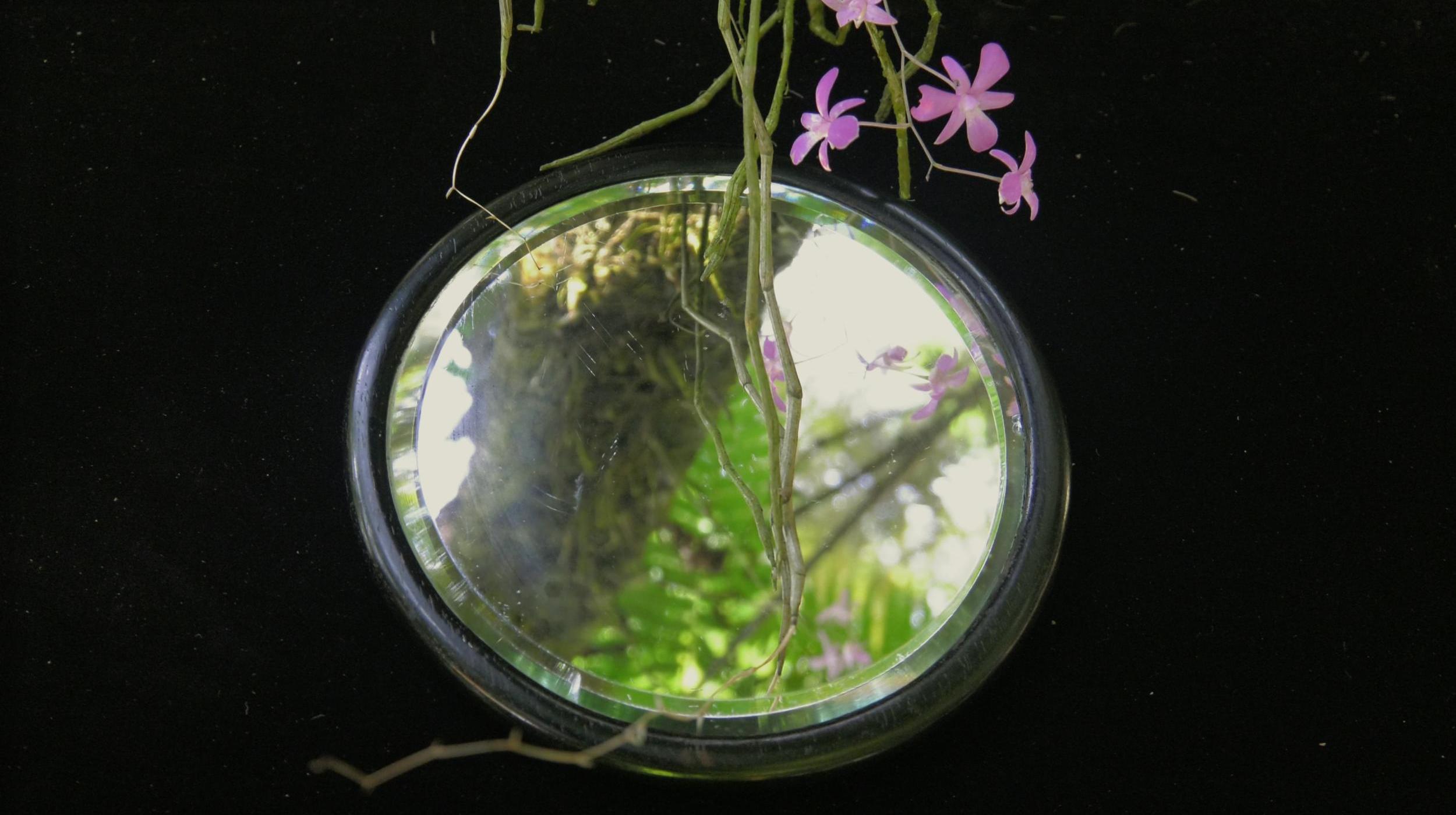 Tuesday Artist Talk: Sian Bowen