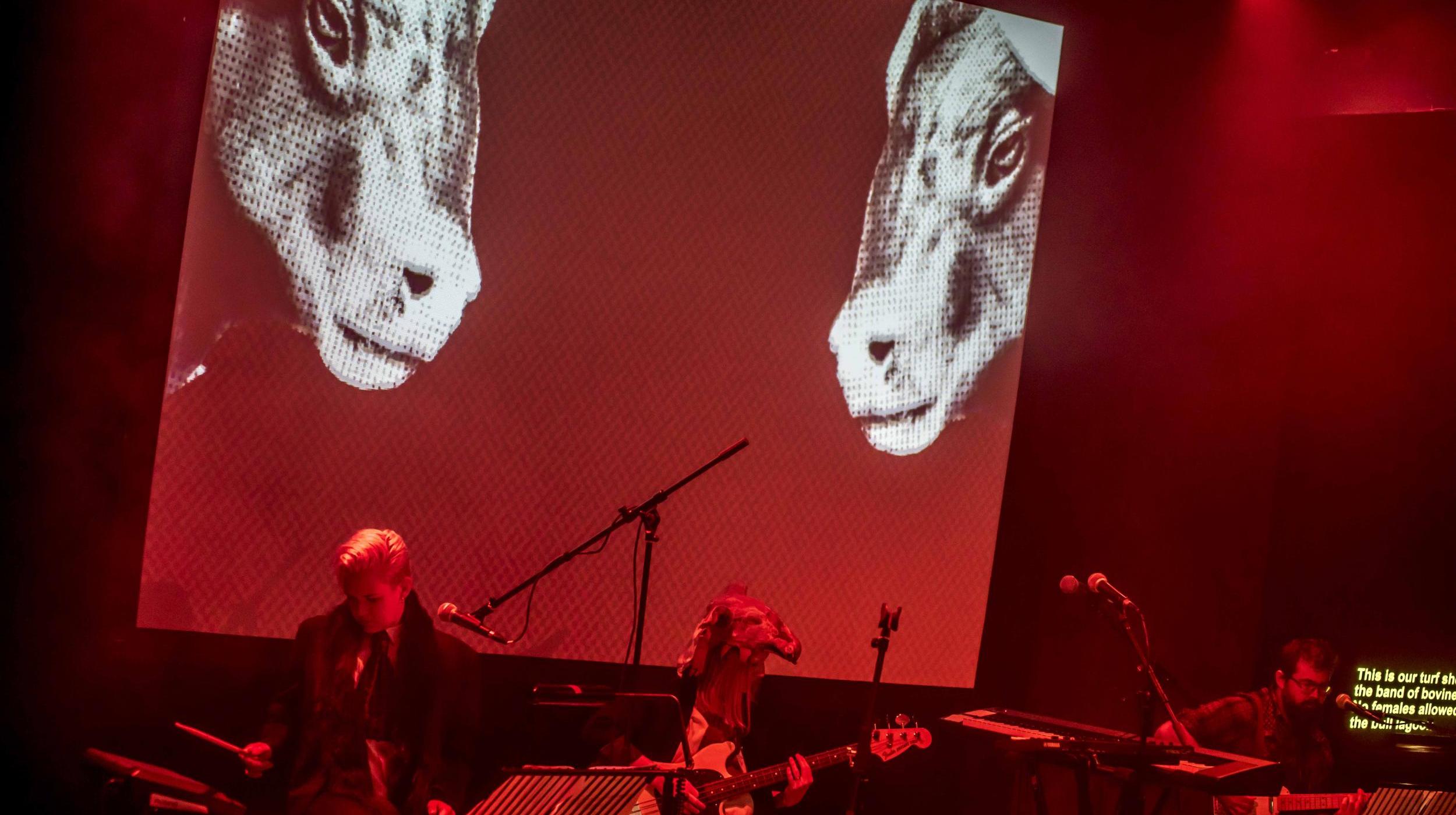 Ali Matthews & Leo Burtin: The Witching Way