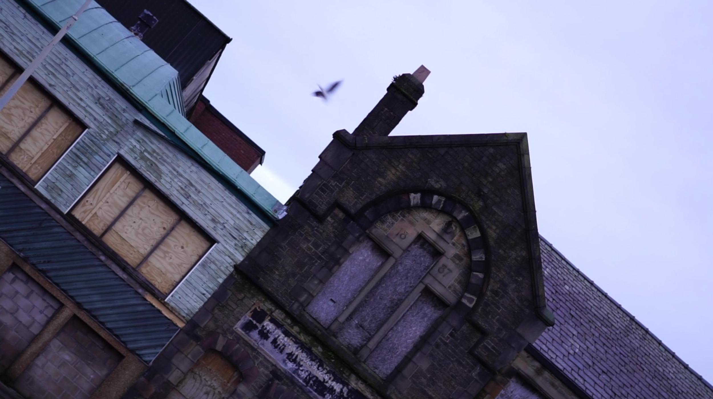 Mill Race: On the Edge