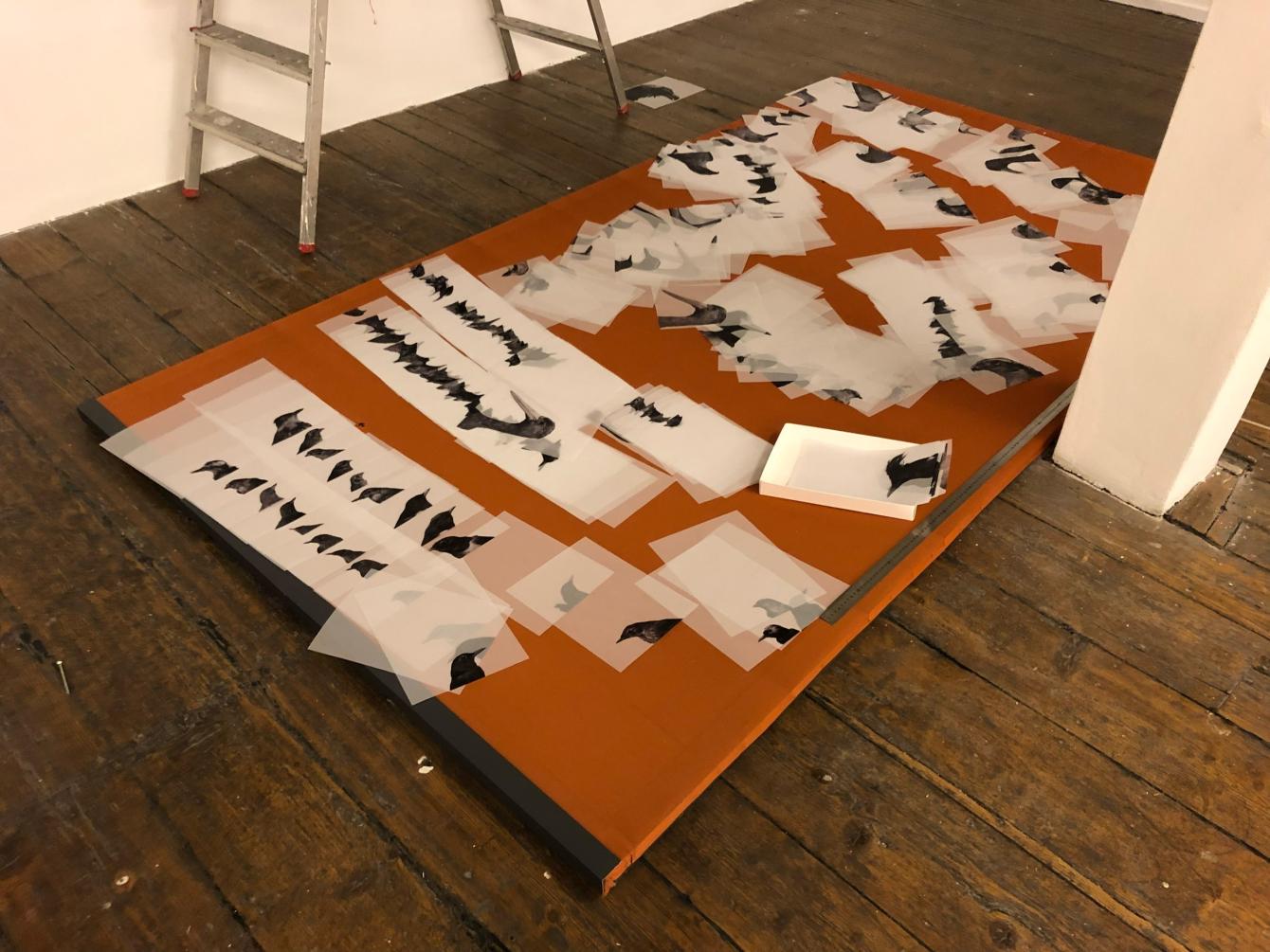 Printed images of birds lying on the floor