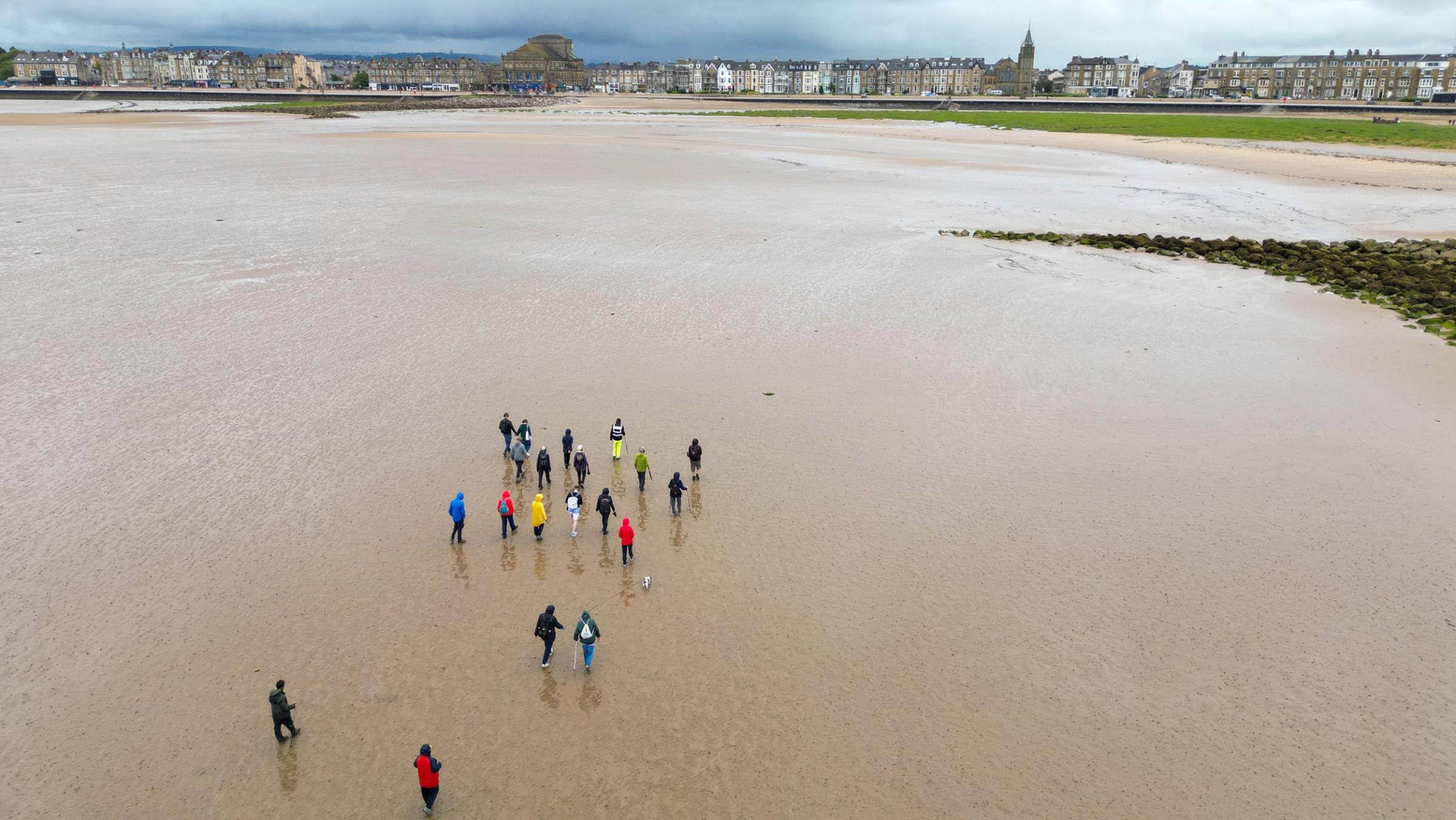 Aerial shot of a group of people walking on sands towards shore