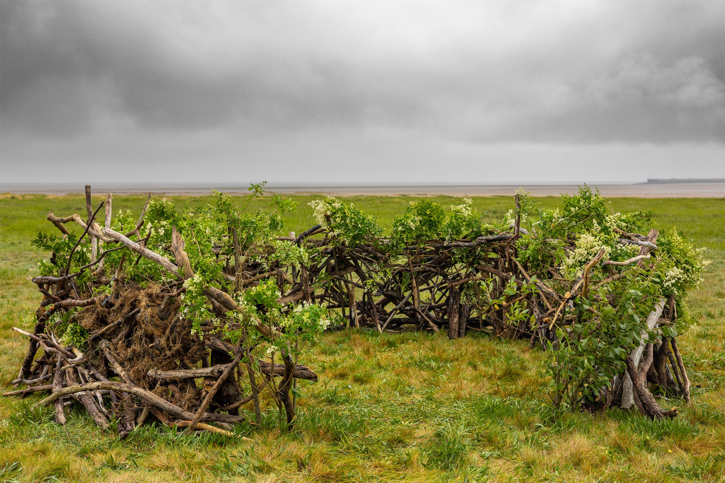 A giant nest situated on the coast