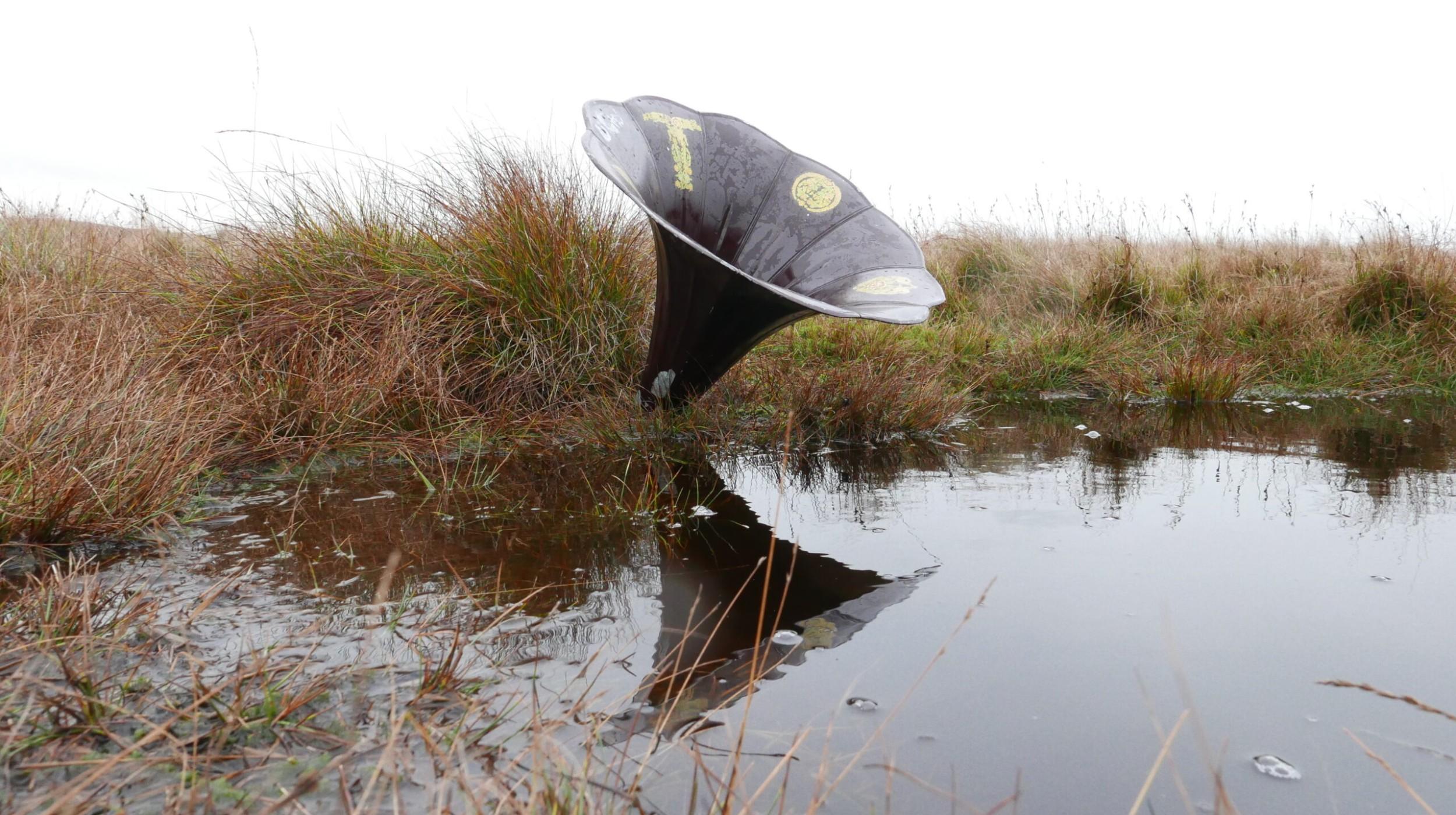 Tuesday Talks: Rob St John