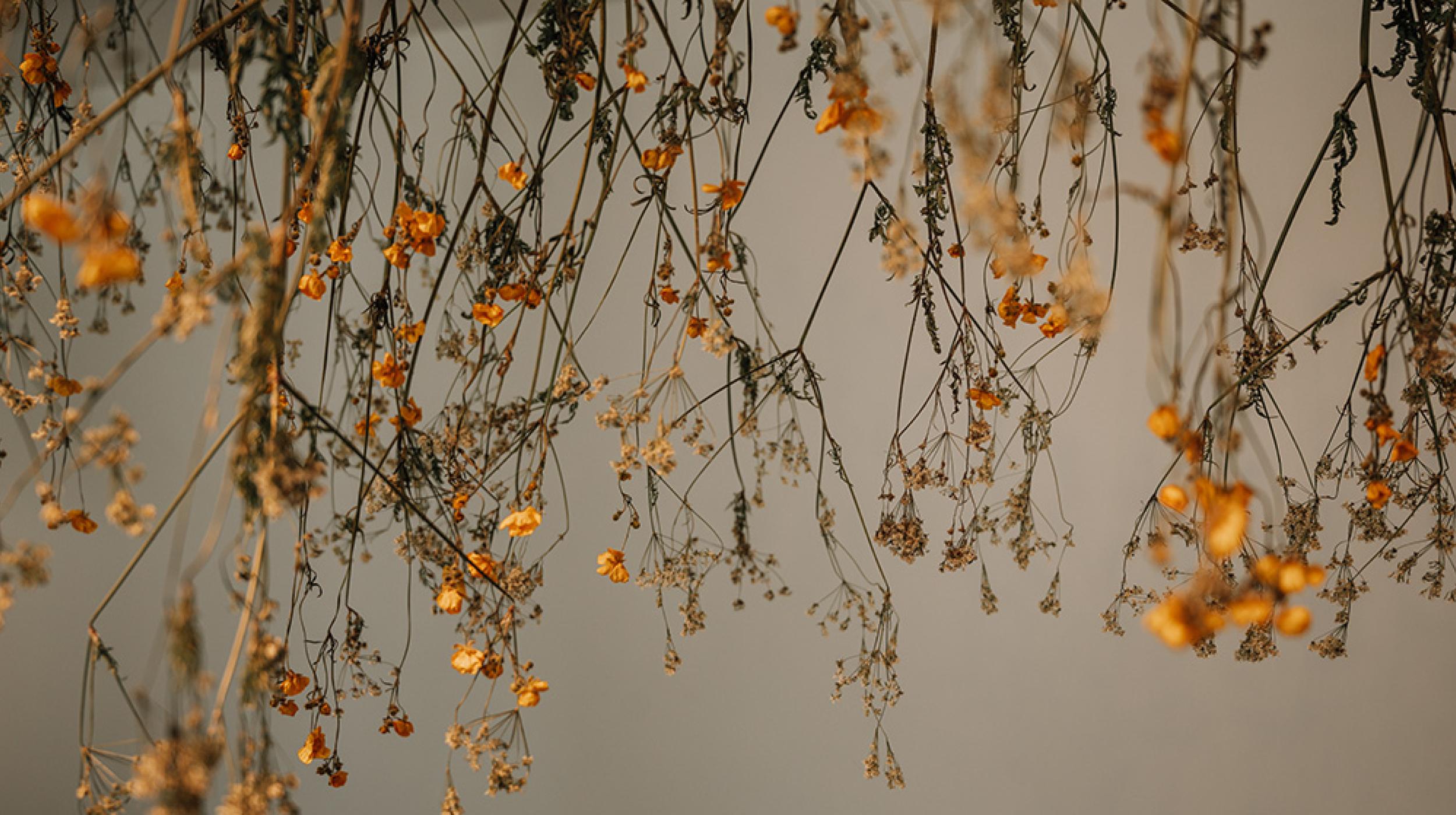 Tuesday Talks: Henna Asikainen