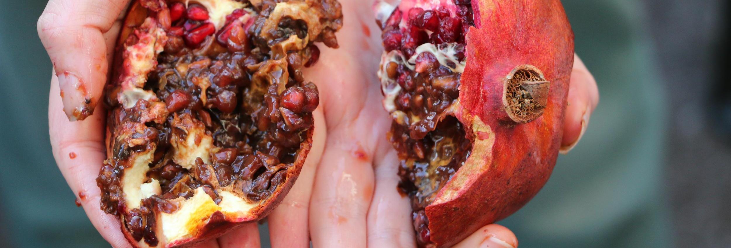 CREATIVE WRITING WORKSHOP AROUND FERTILITY AND INFERTILITY