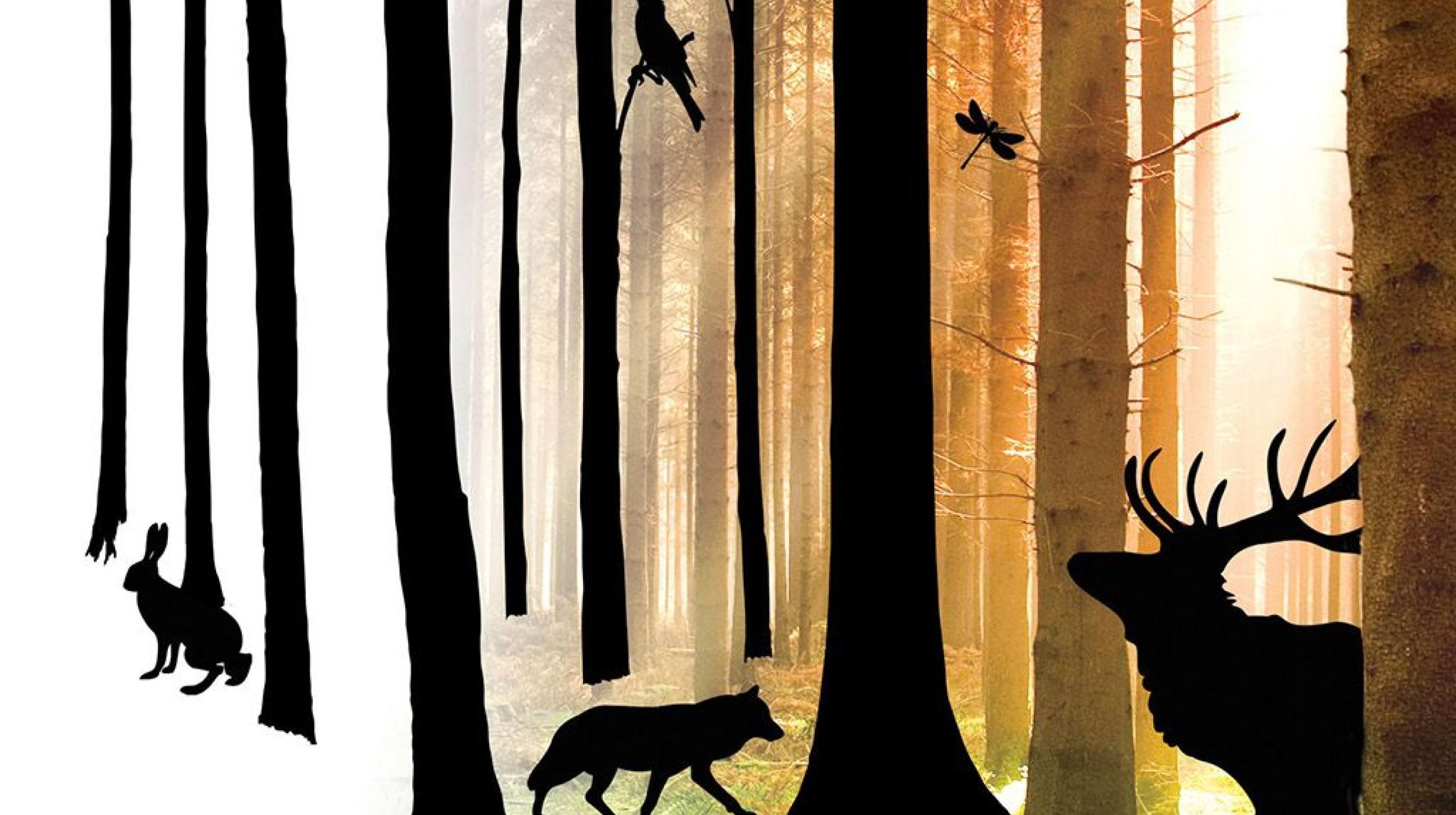 Fevered Sleep: The Forest