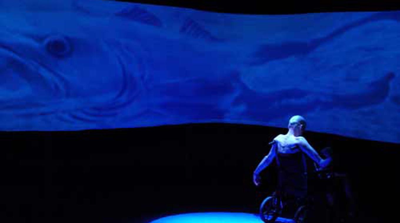 Stage Photo featuring the back of a wheelchair user/performer