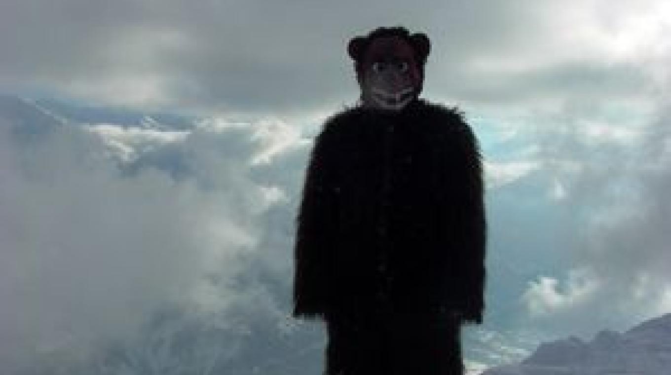 A performer in a bear suit on top of a mountain covered in snow.