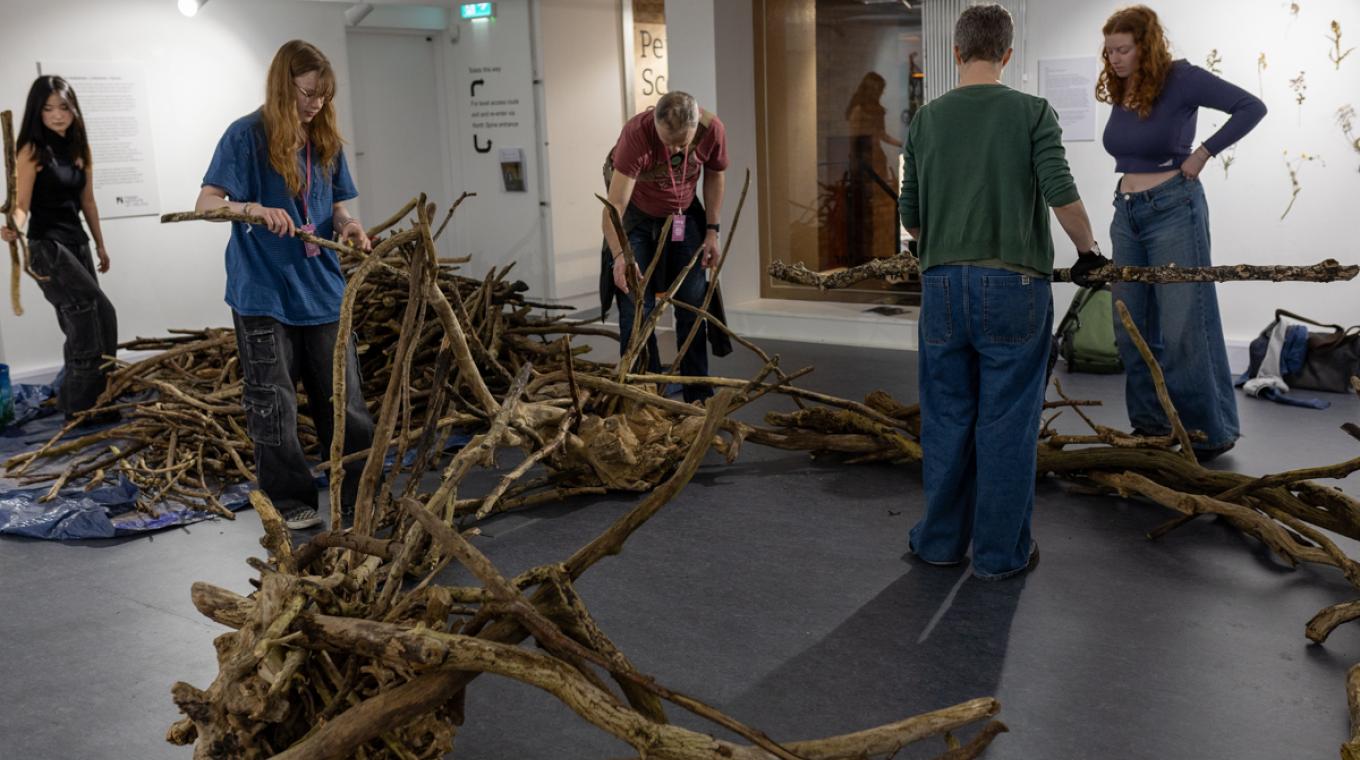 People building a giant nest in a gallery