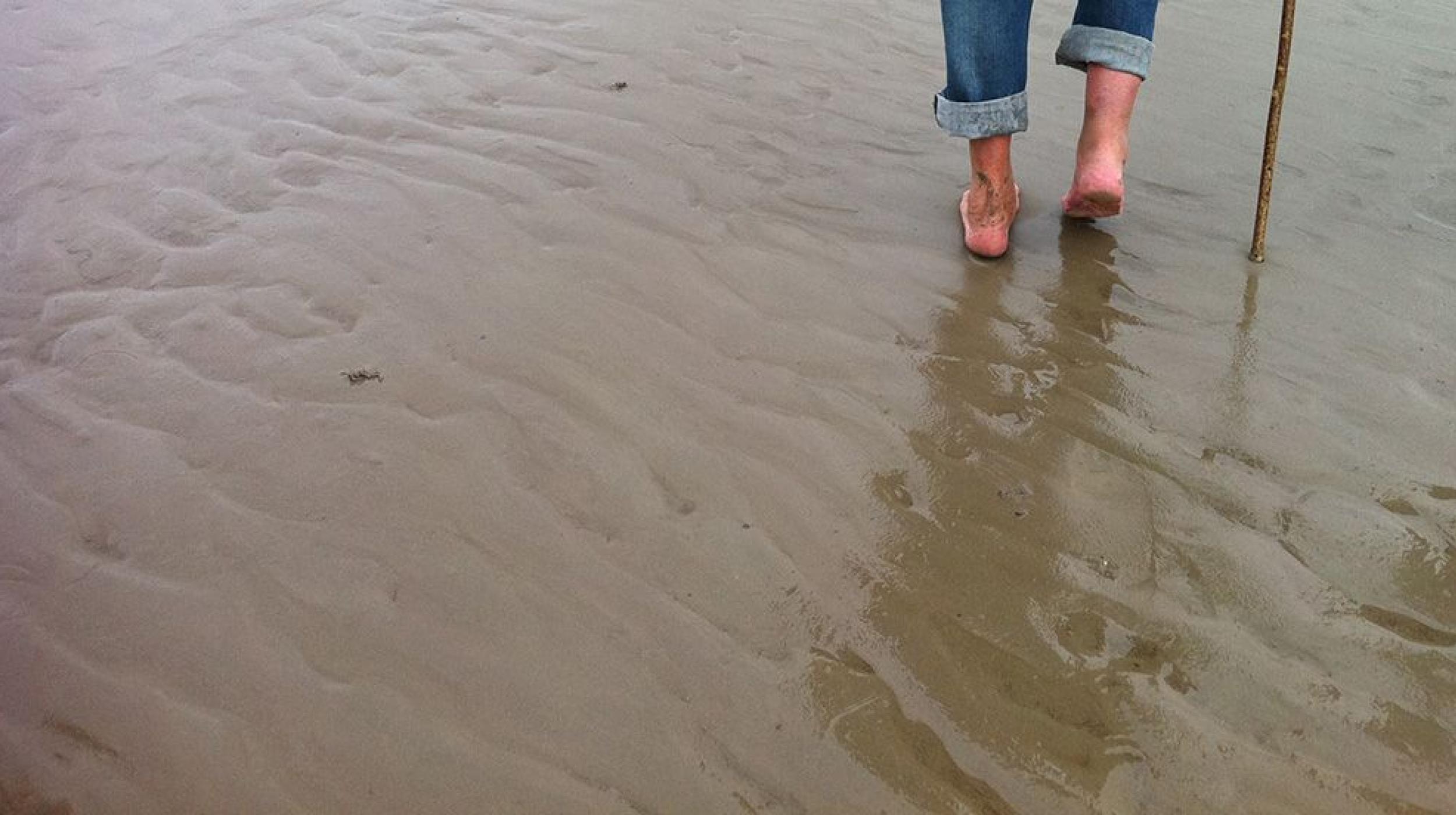 Invisible Flock: Sand Pilot