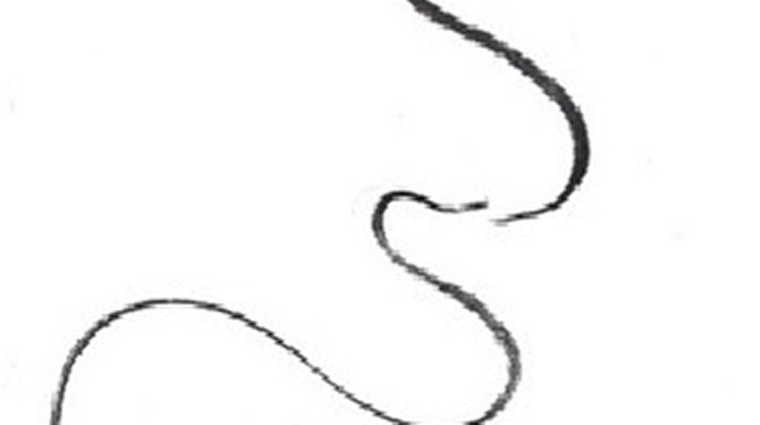 On Writing and Drawing: Barthes Drawing Workshop