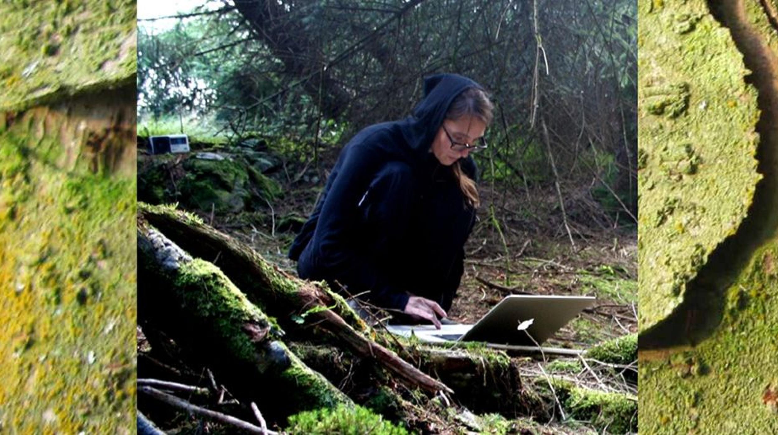 WISWOS Concert: Antye Greie