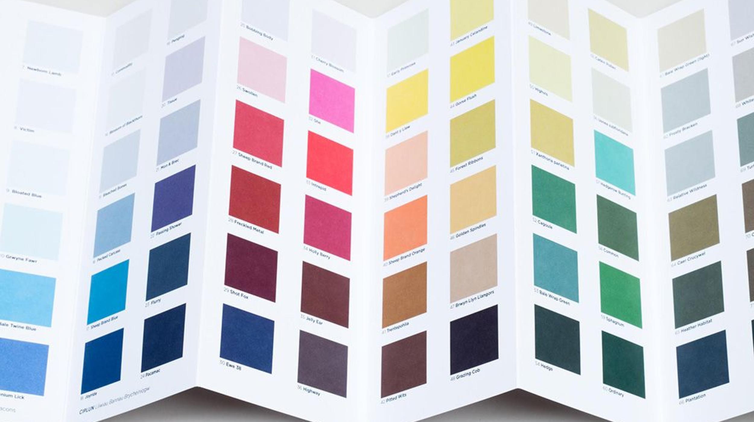 Tuesday Talk - Rebecca Chesney