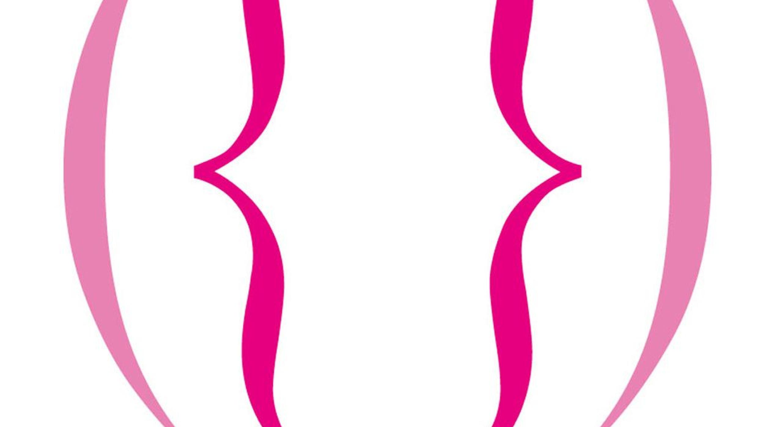 The Vagina Monolancs