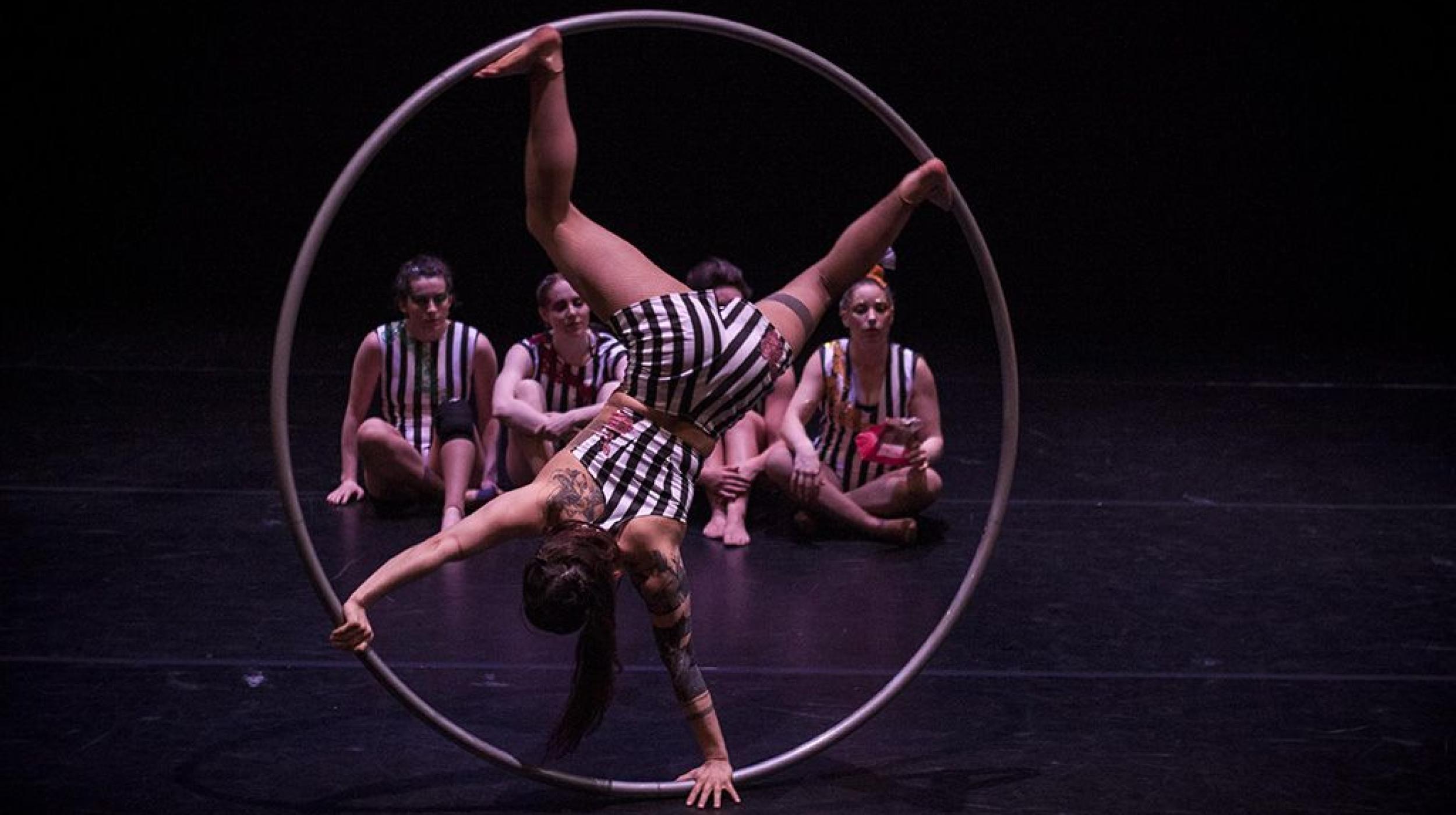 Ellie Dubois: No Show