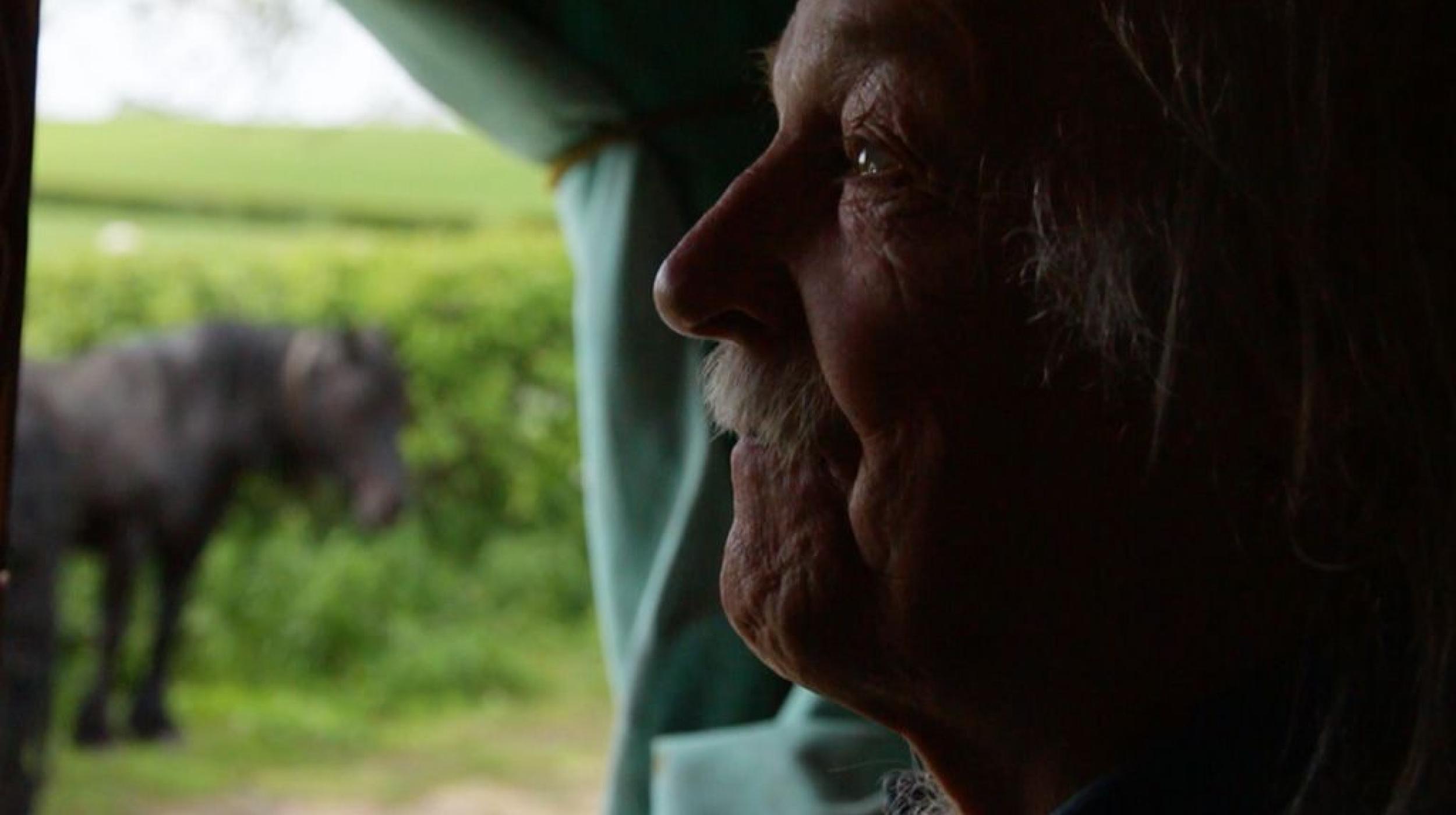 Romany Rai - Tom LLoyd