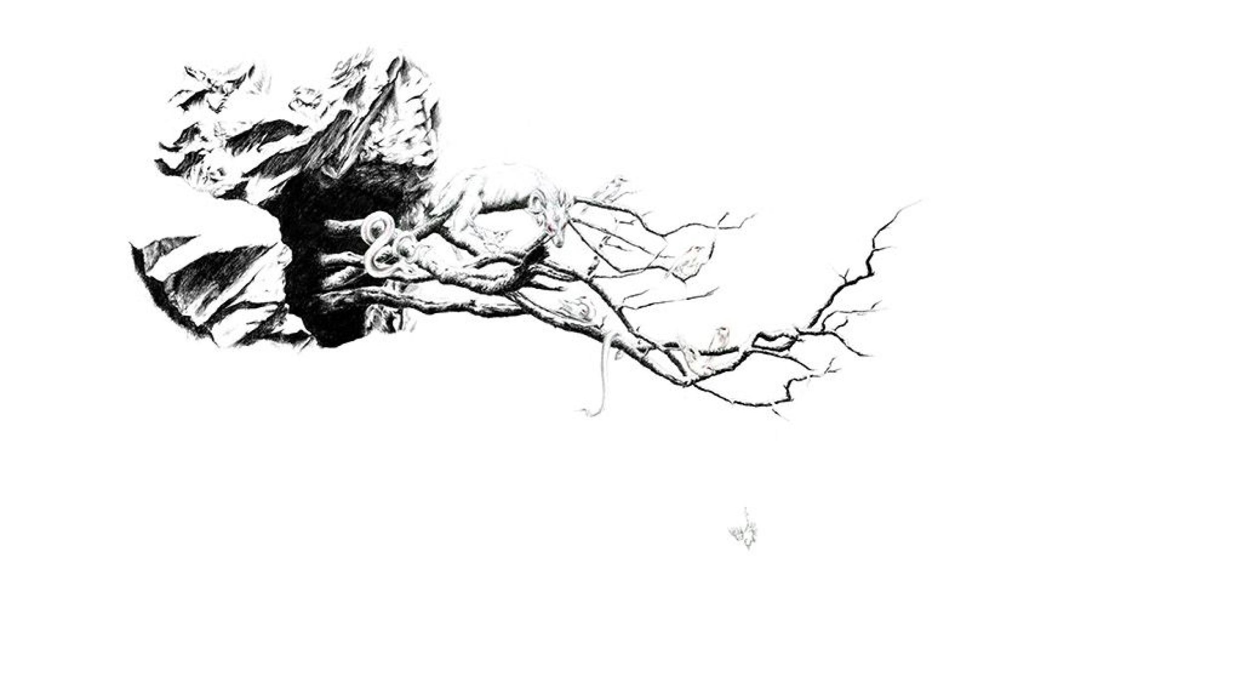 New to the Collection: Rachel Goodyear