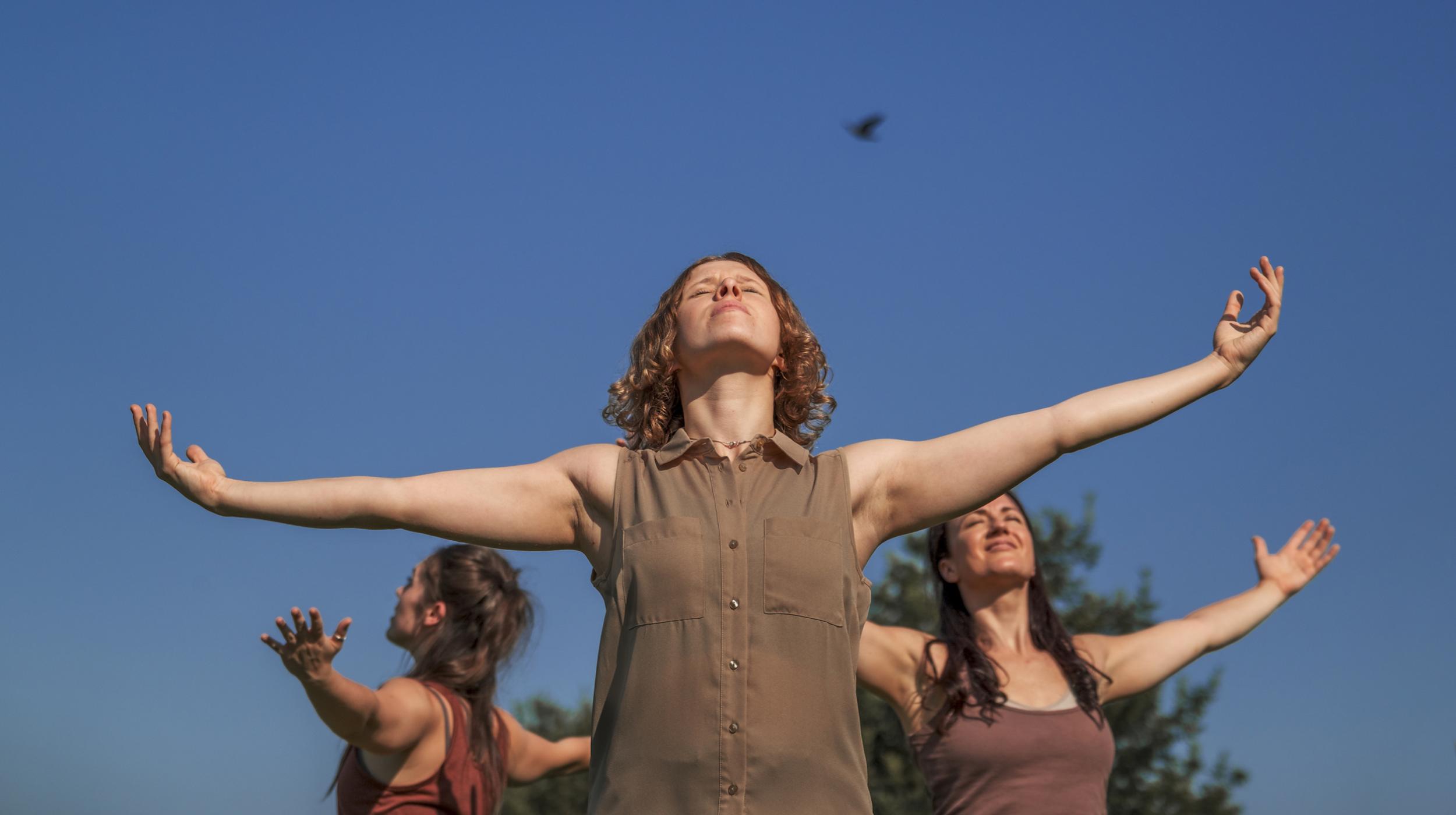 Company Carpi: When You Light a Candle, You Also Cast a Shadow