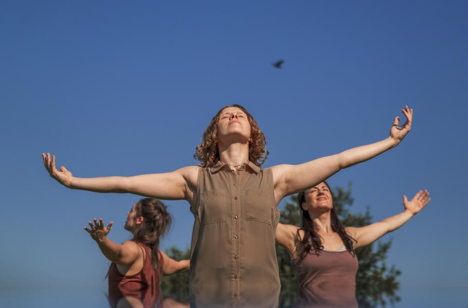 Company Carpi: When You Light a Candle, You Also Cast a Shadow