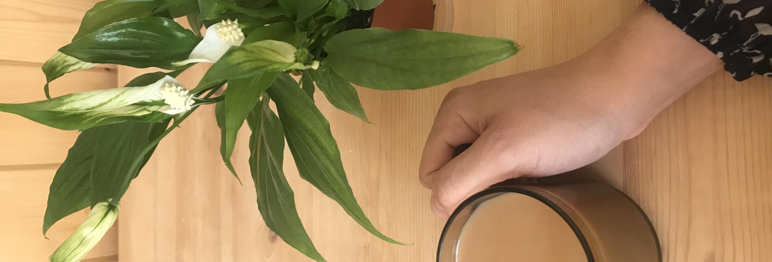 In Conversation with...