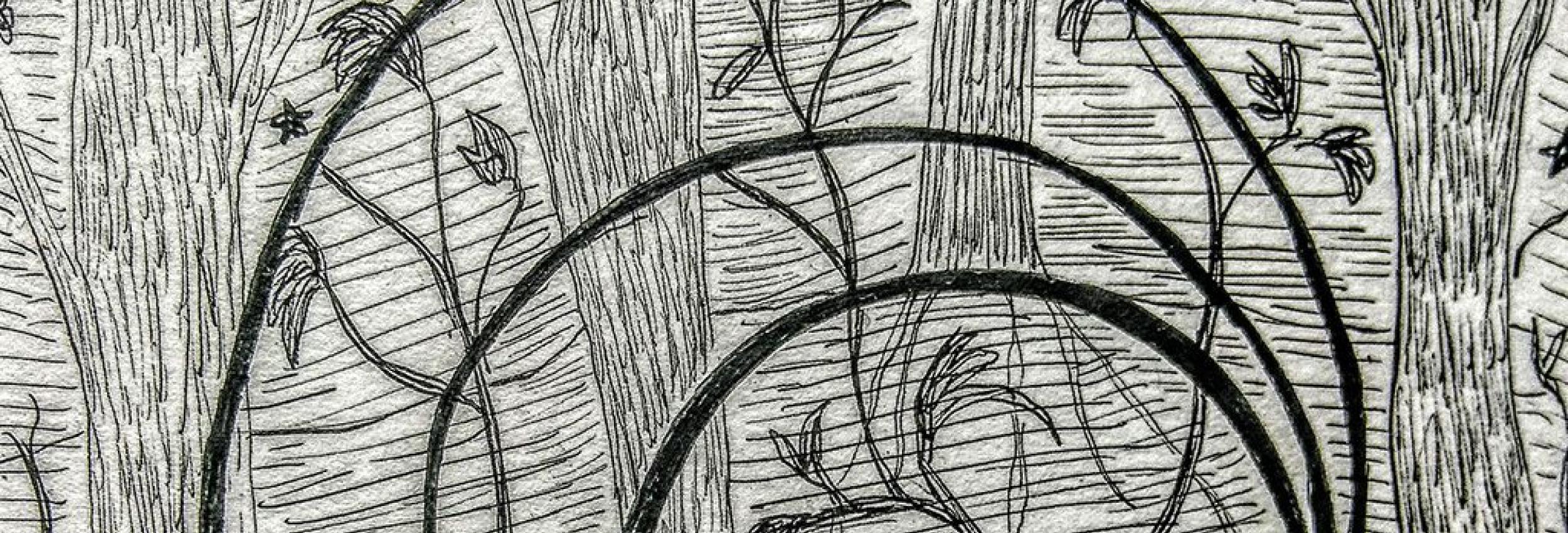 Professional Development opportunity for Creative Producers