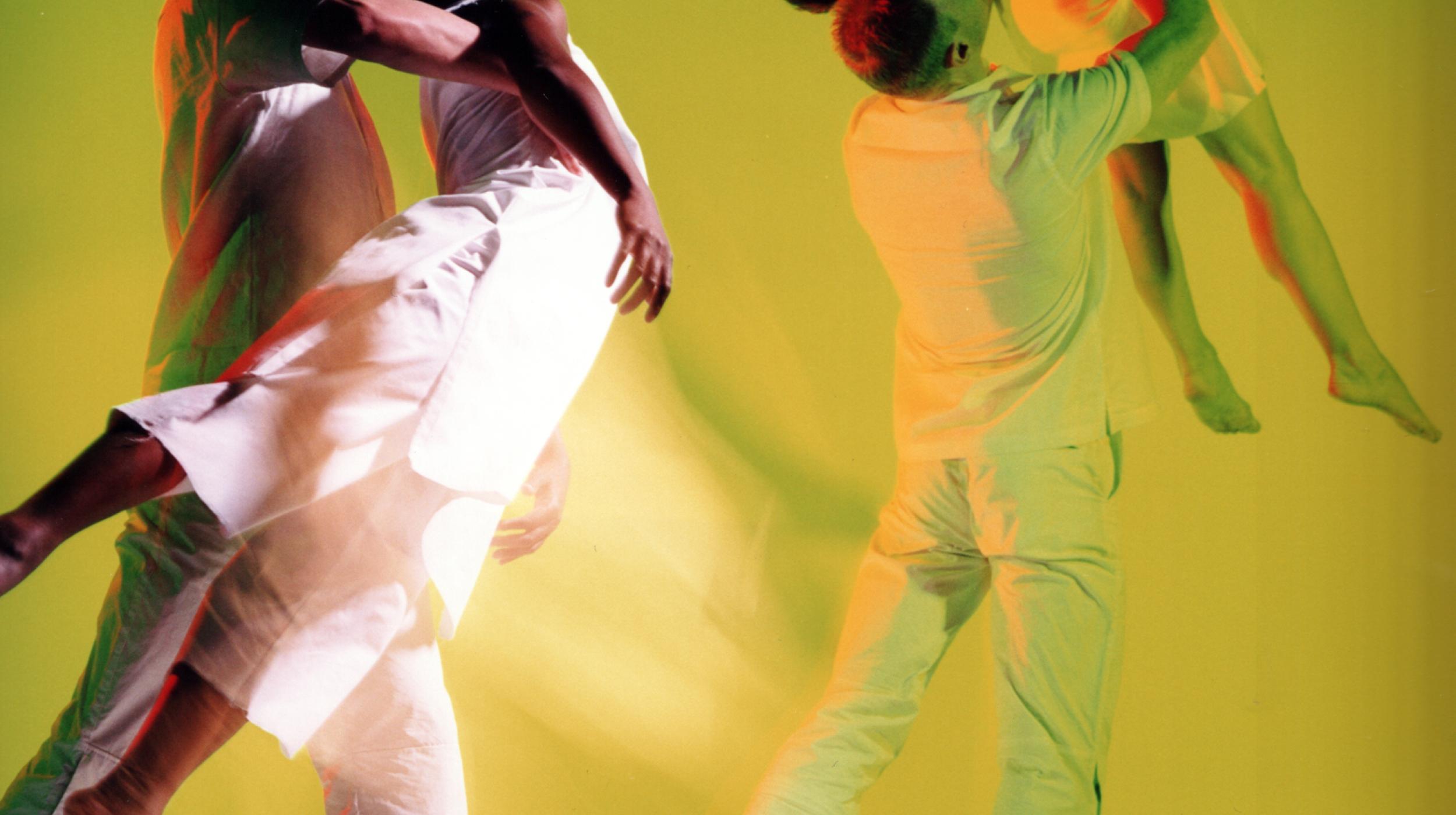 Ludus Dance: Dance Cuts 2006