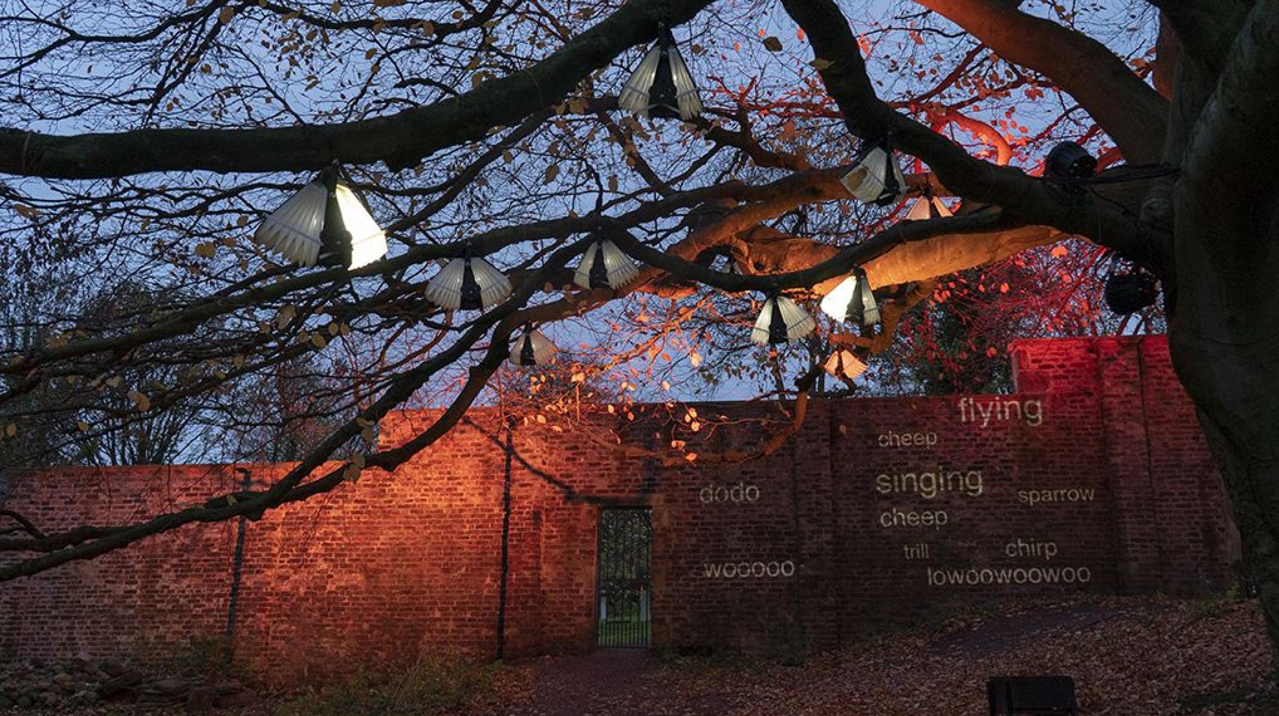 Kathy Hinde: Chirp&amp;Drift