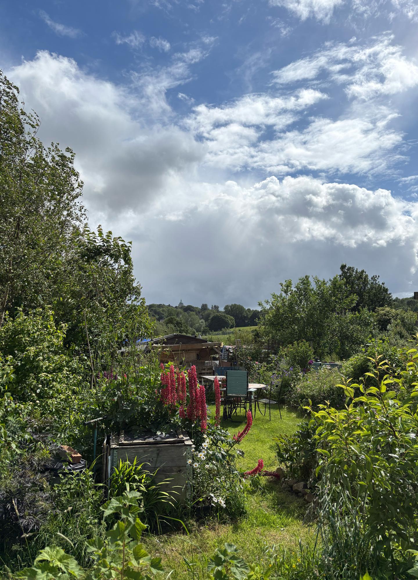 A community garden on a sunny day with trees, trees flowers and table and chairs