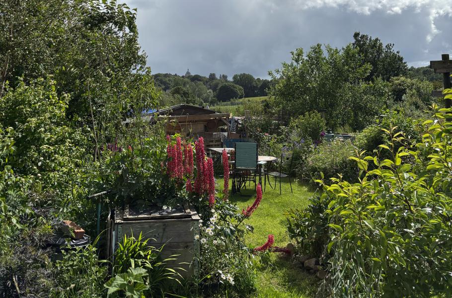 People's Emergency Briefing: The Picnic