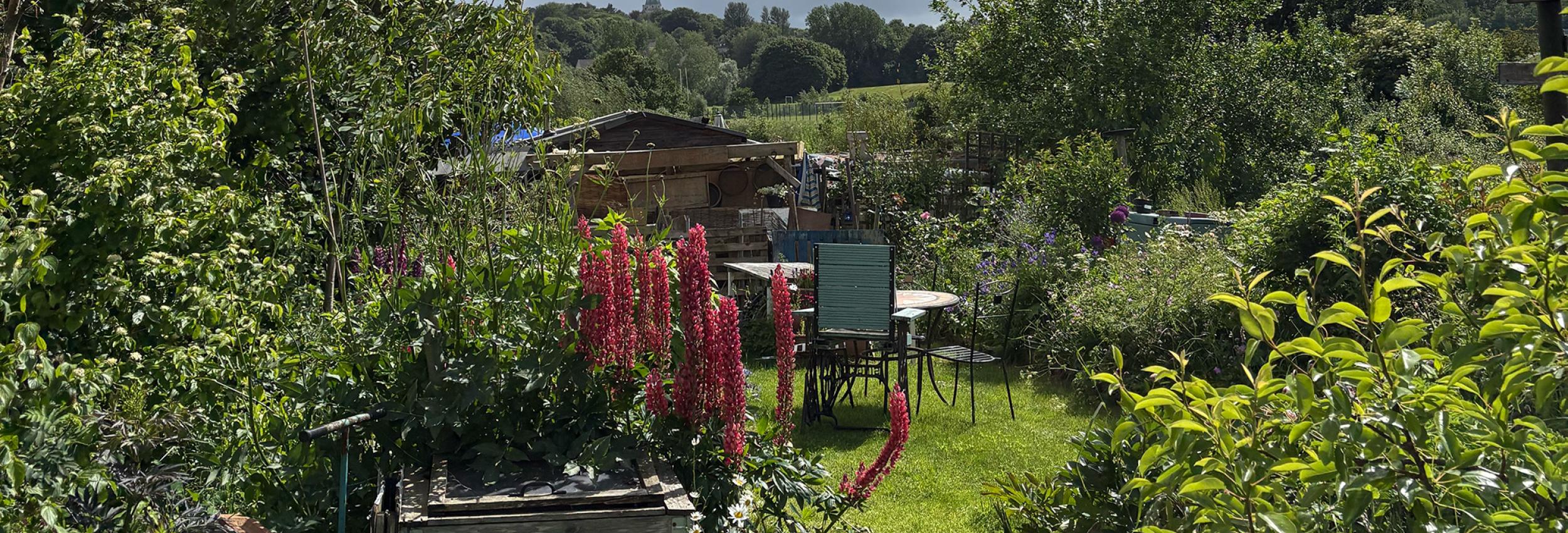 Claver Hill Community Farm