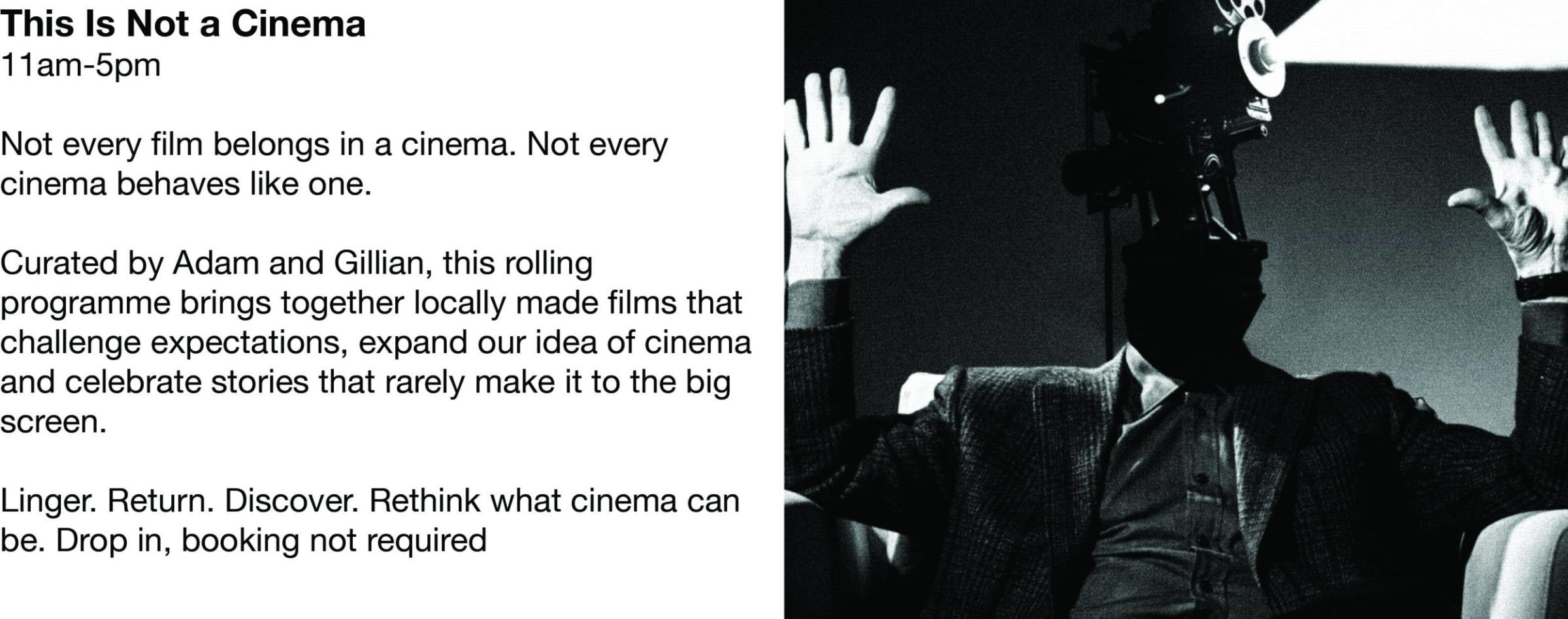 Festival Of Dissent Web Page3