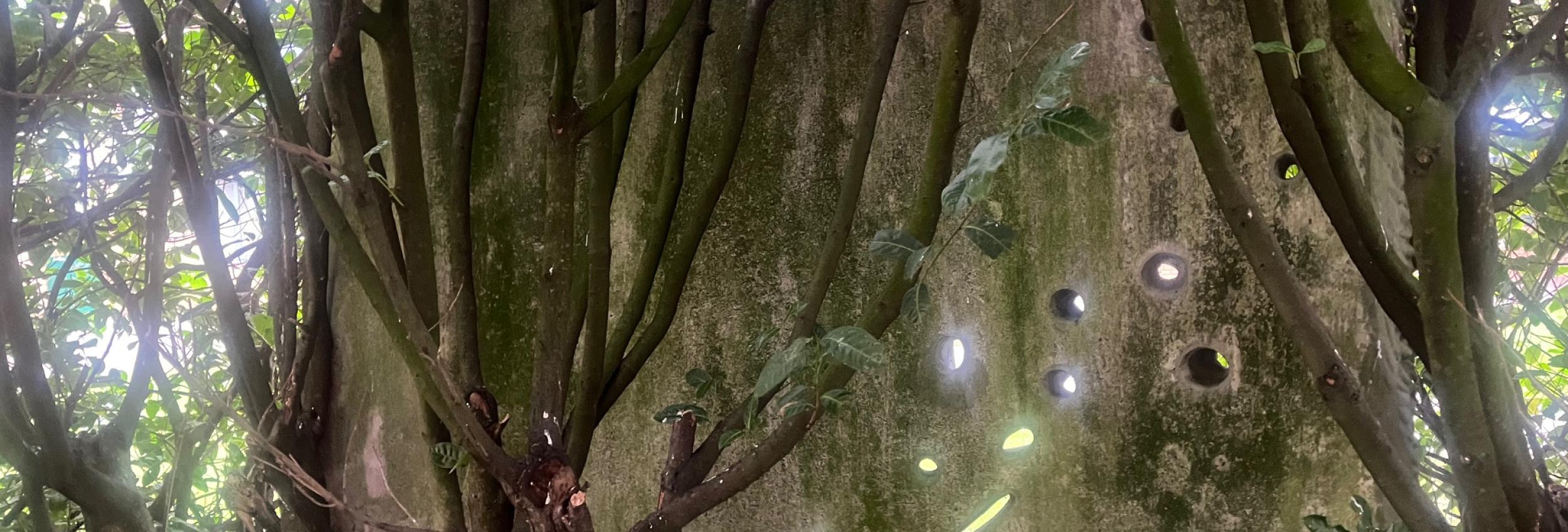 Kate Fox: Land Loops