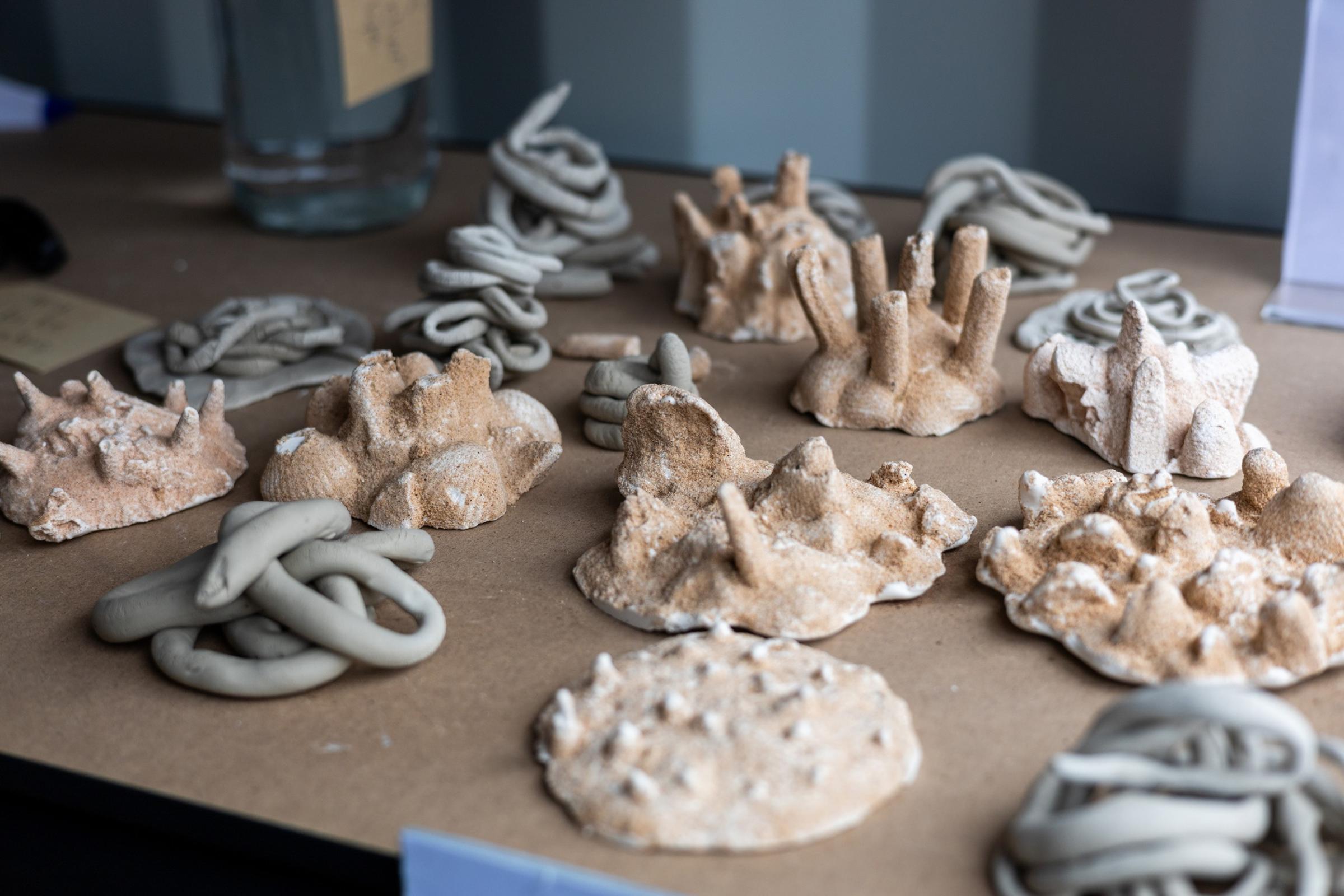 Clay models of lugworms and shells