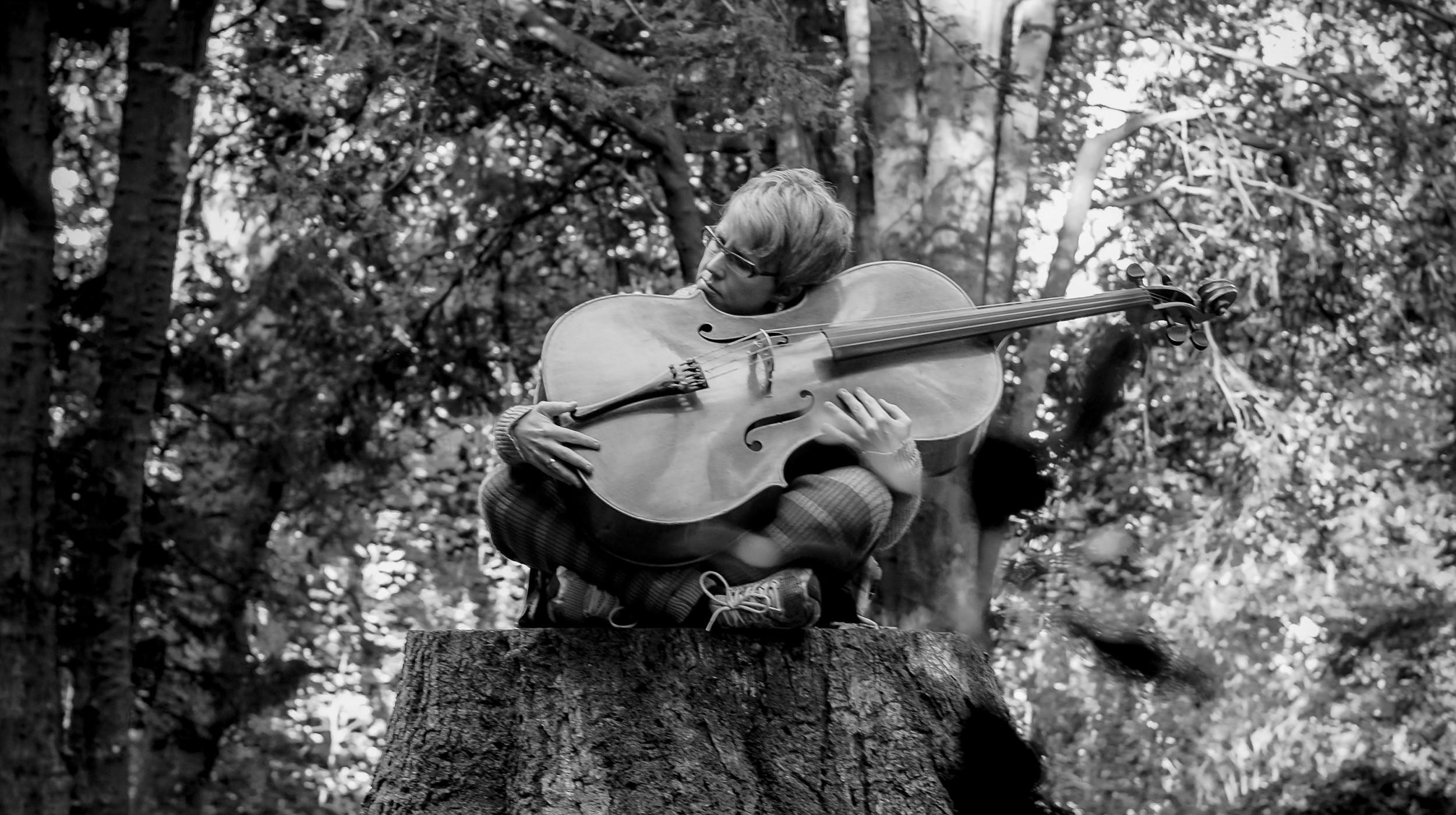 Maja Bugge: Suite for Seabirds