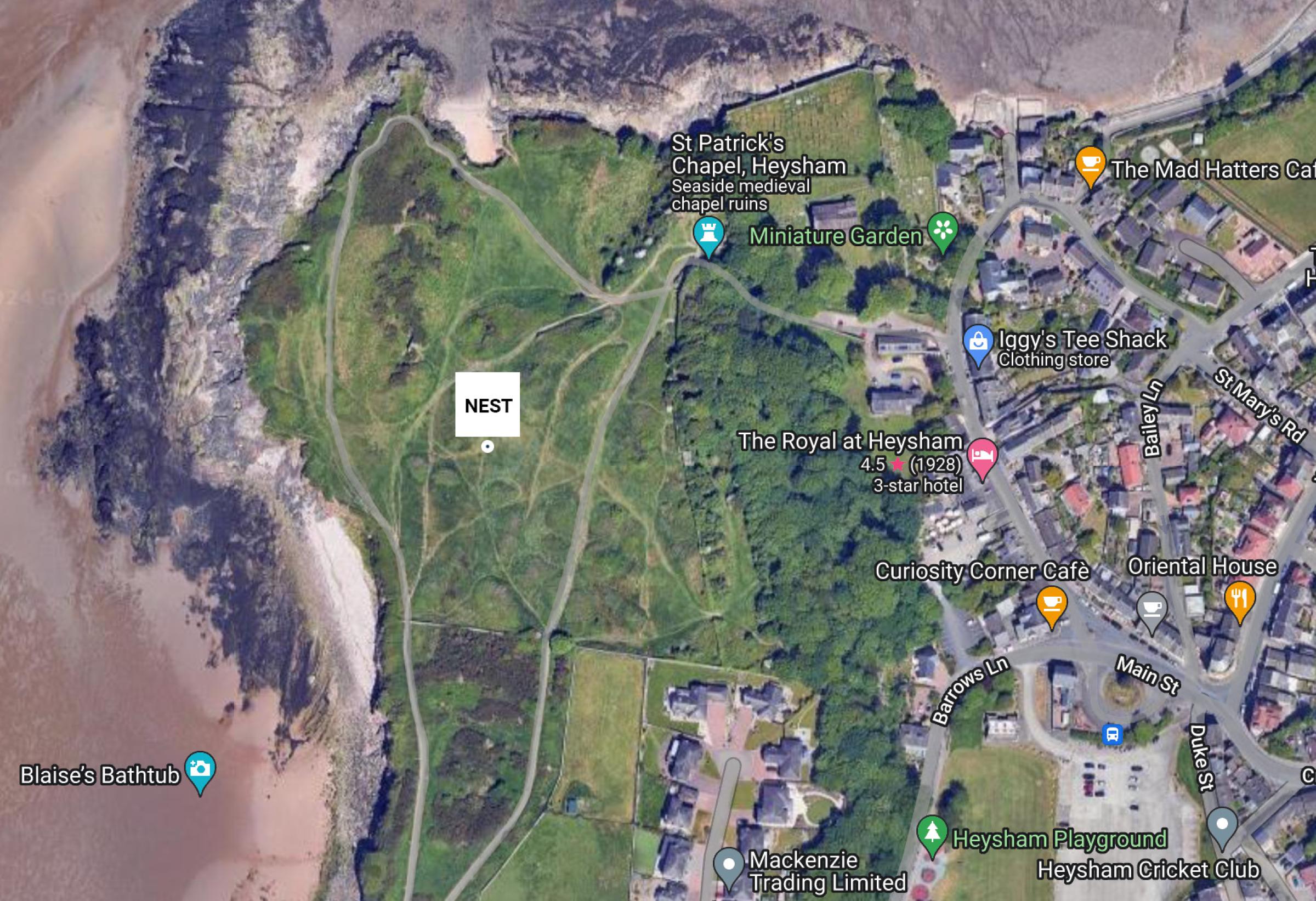 Nest Map