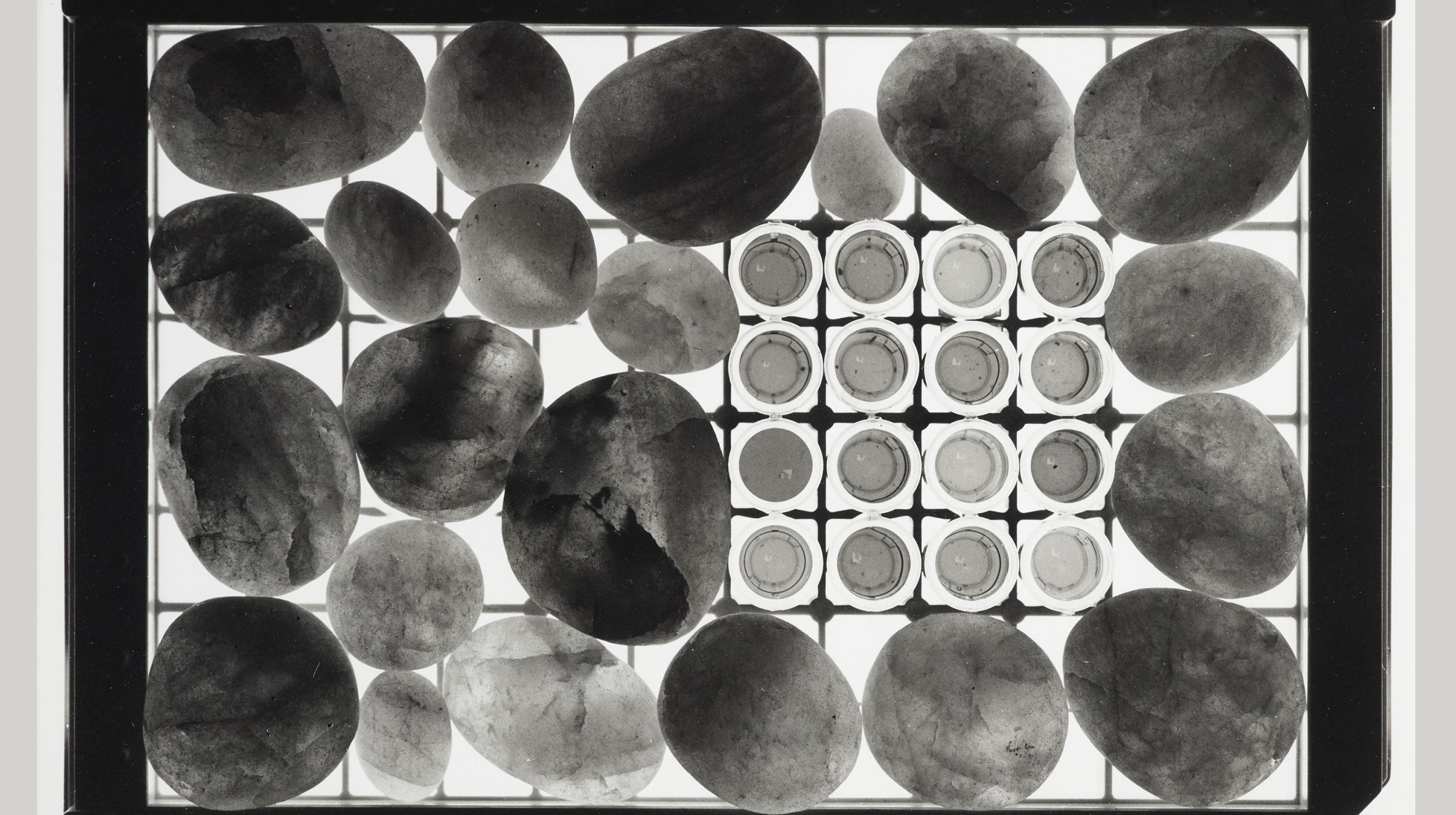 Exploring LAND: a conversation through art