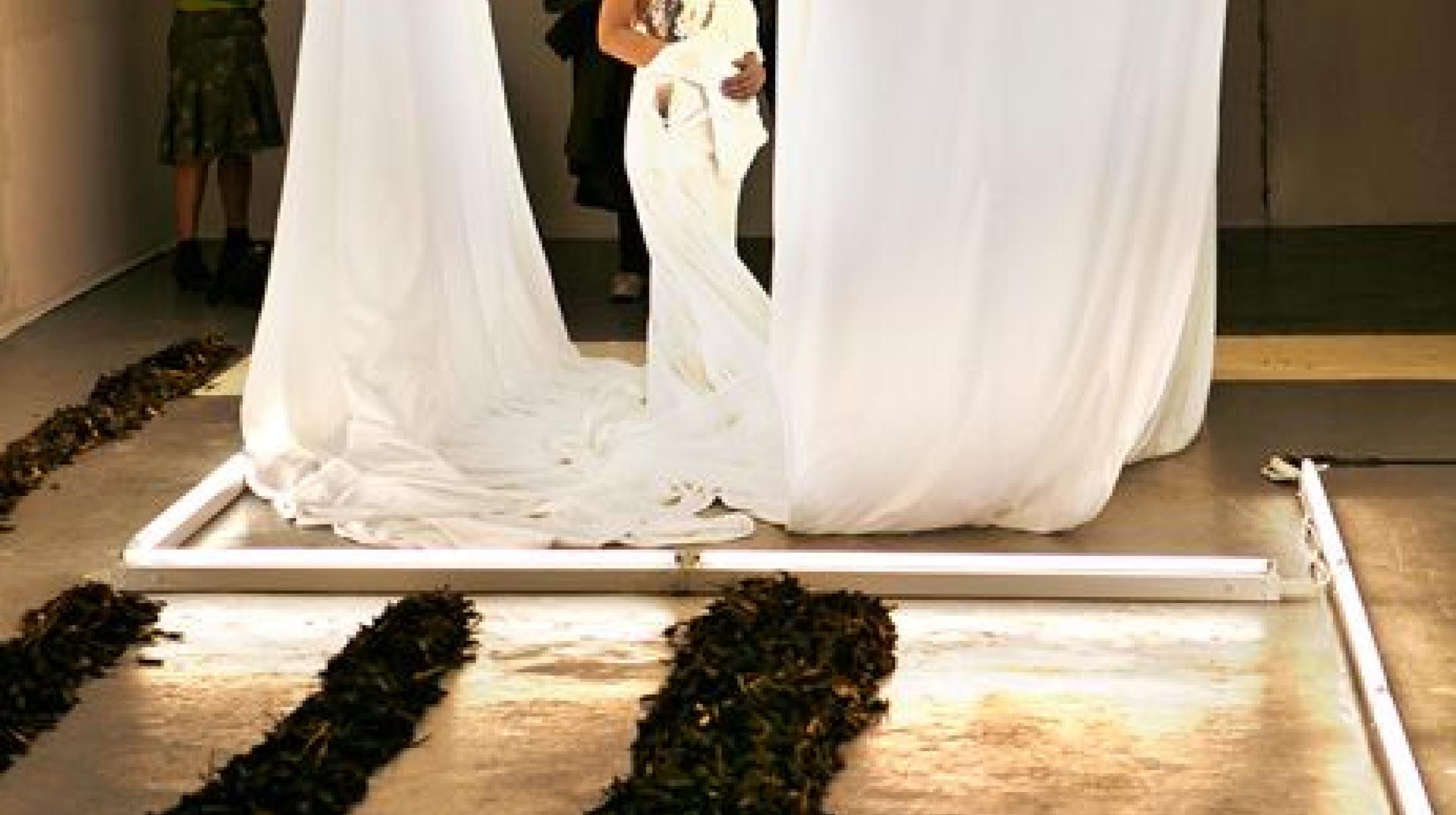 Rajni Shah: Dinner With America