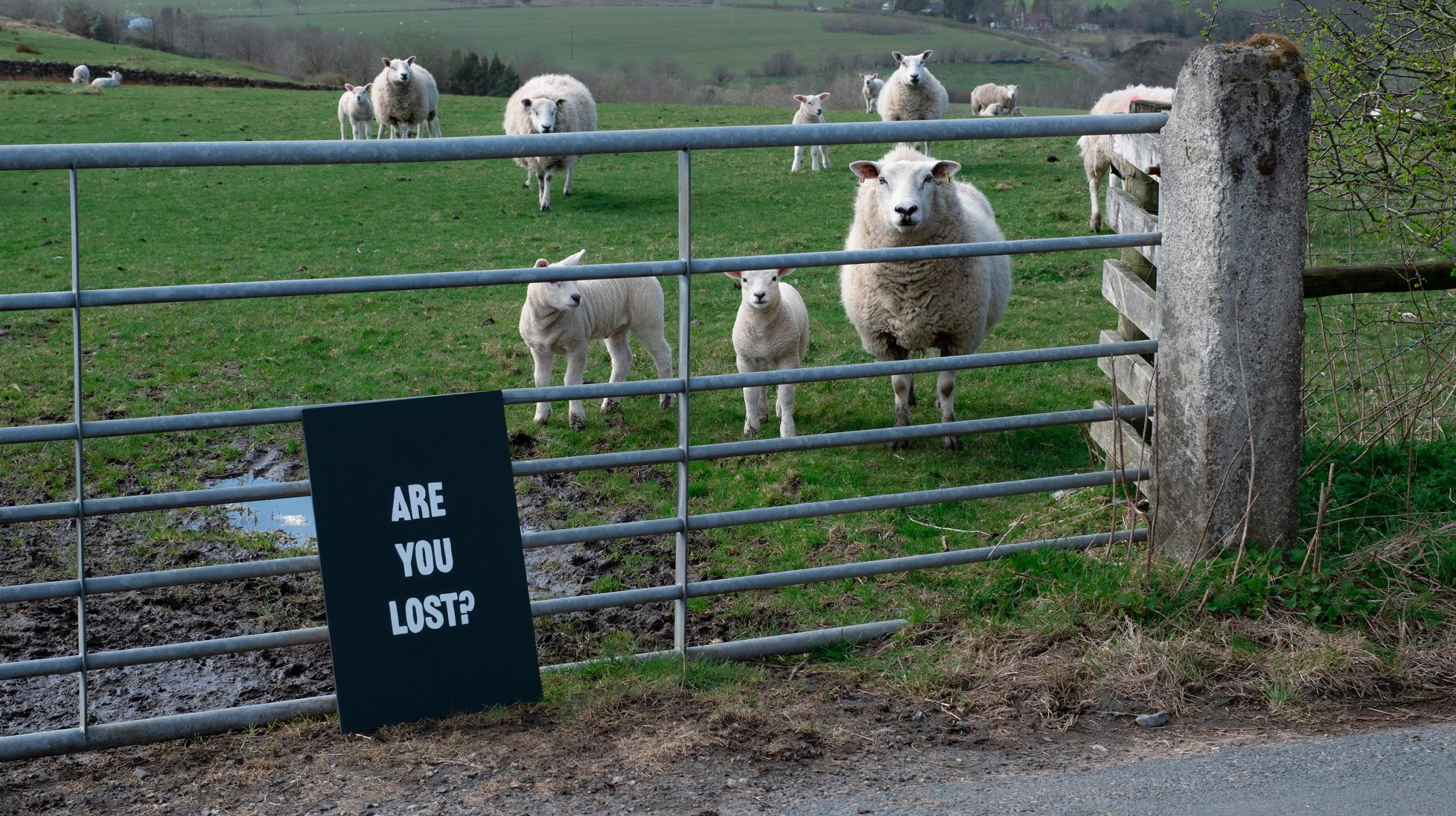 Nature Calling: Are You Lost?