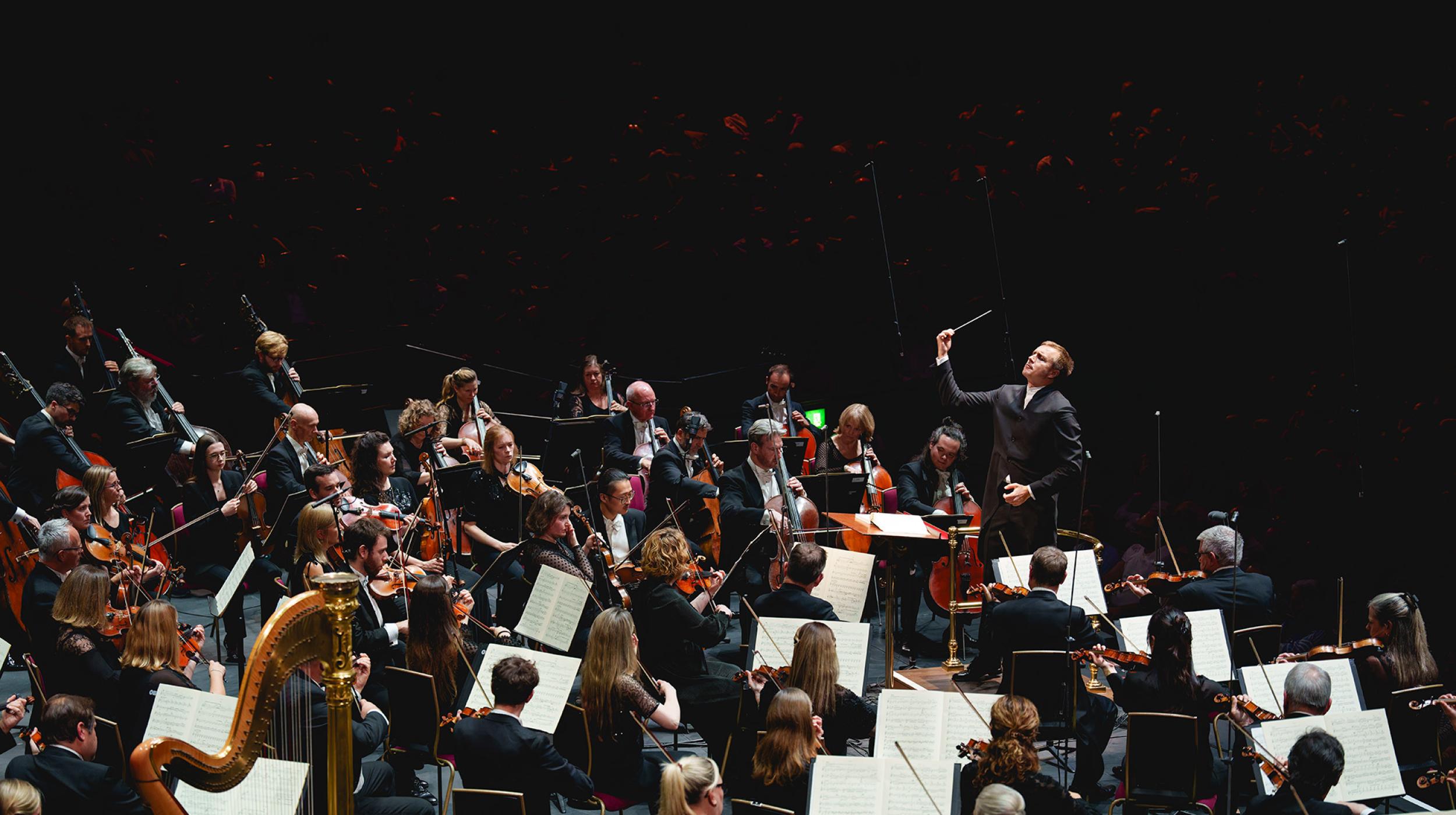 Royal Philharmonic Orchestra: Against the Tide