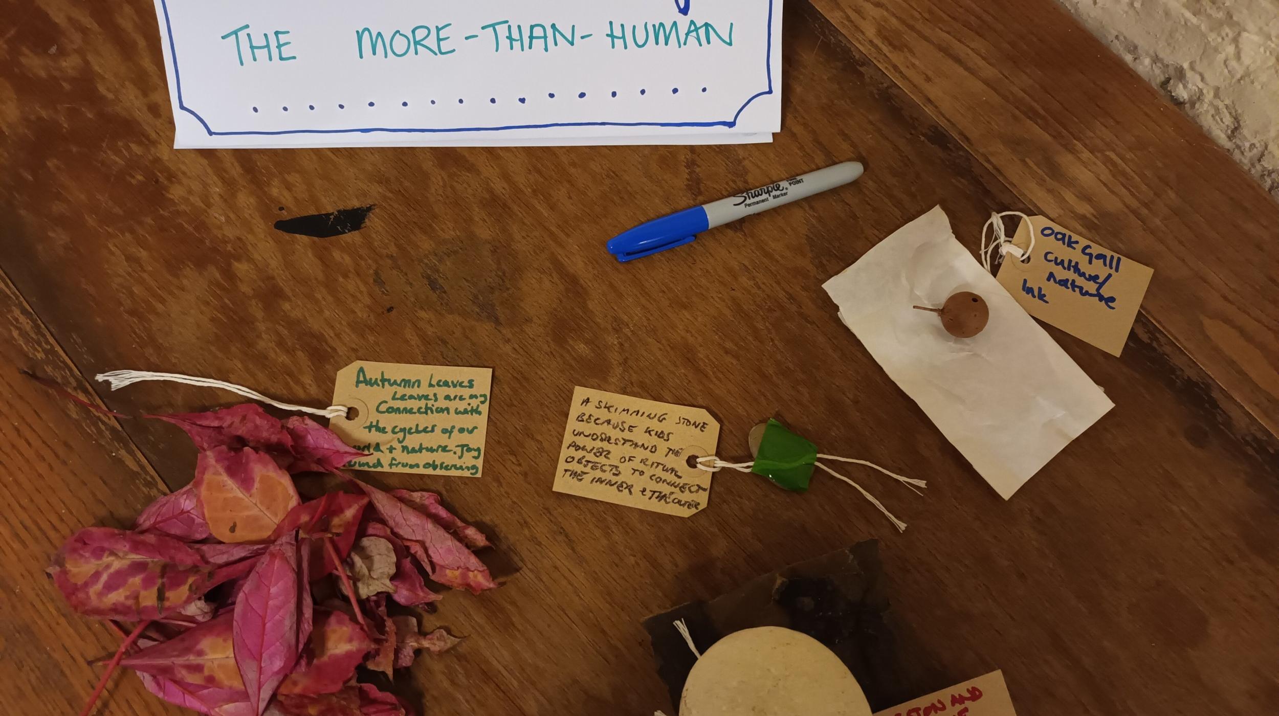 The Museum of Nature and Us