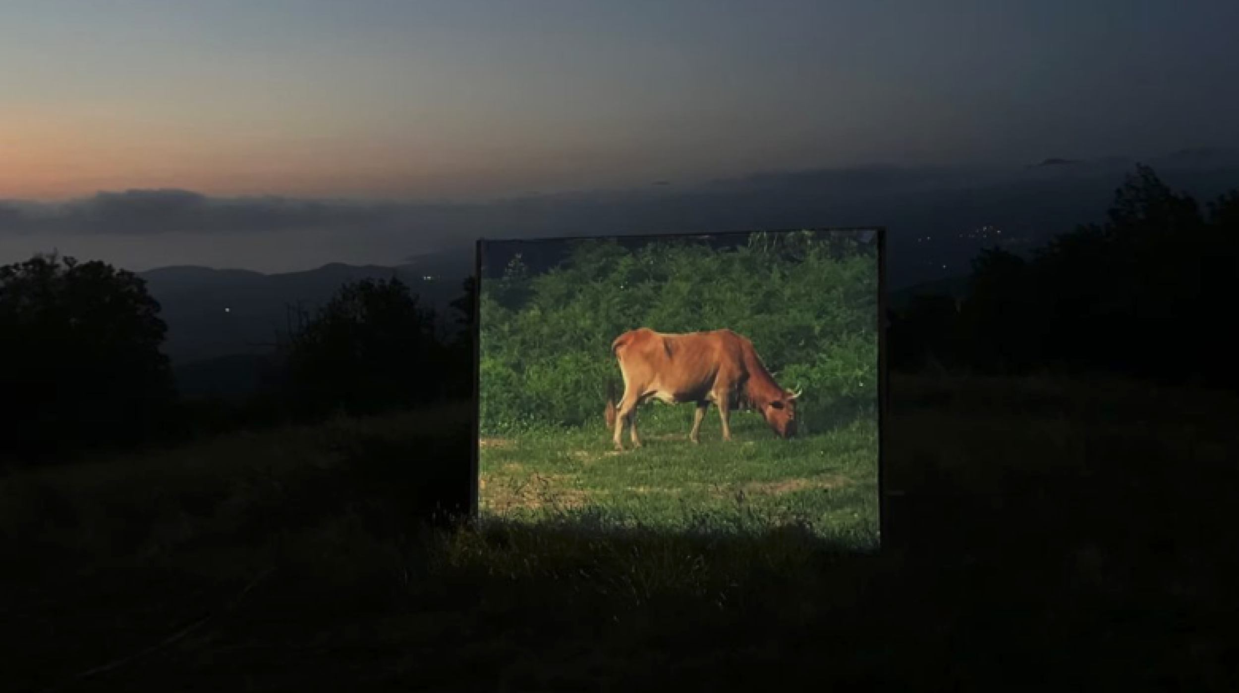 Artists in Conversation: Alistair Debling