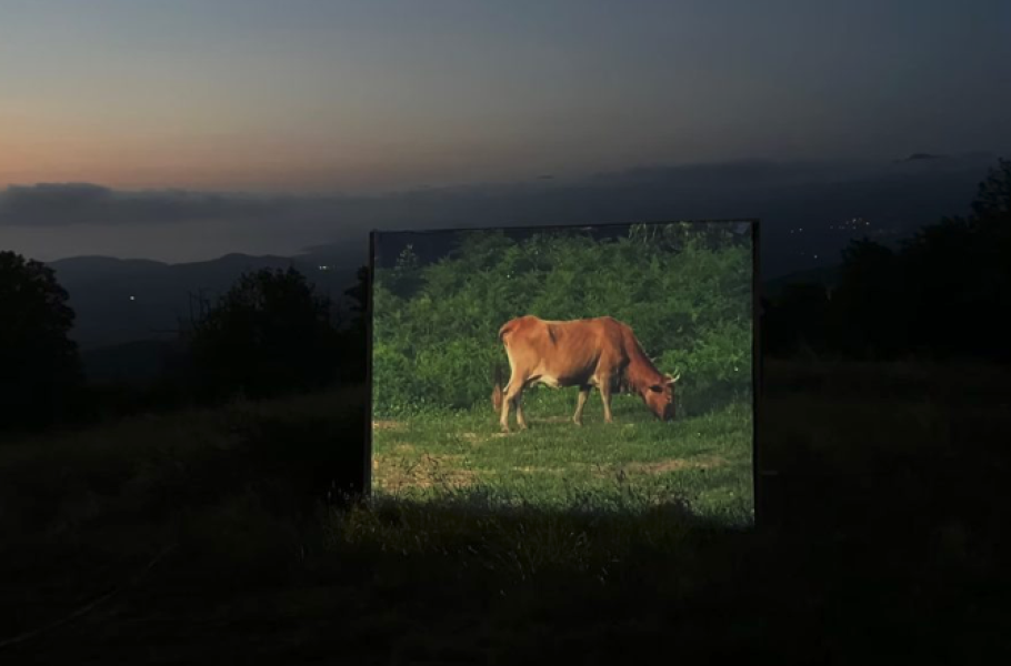 Artists in Conversation: Alistair Debling