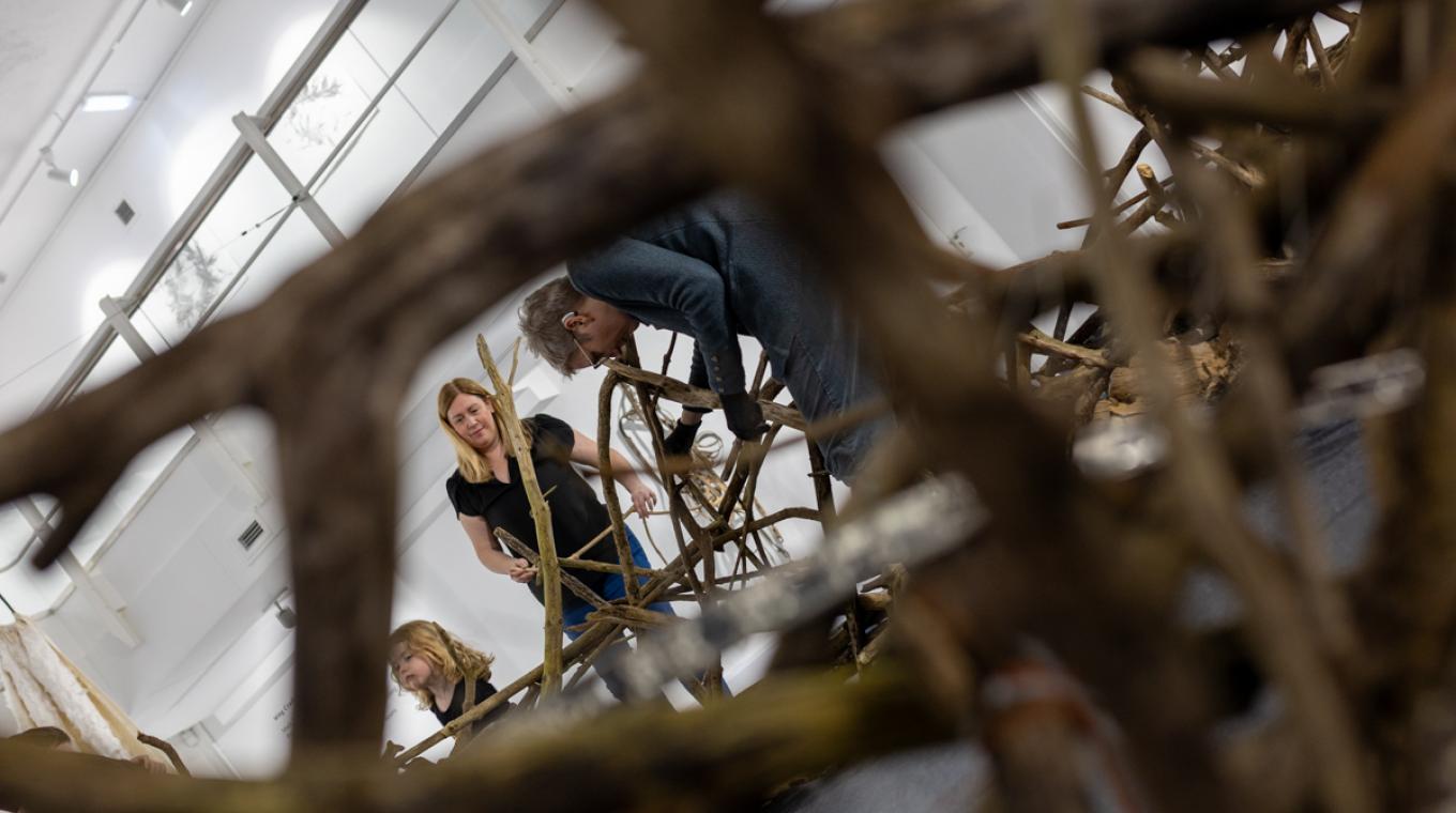 People building a giant nest in a gallery