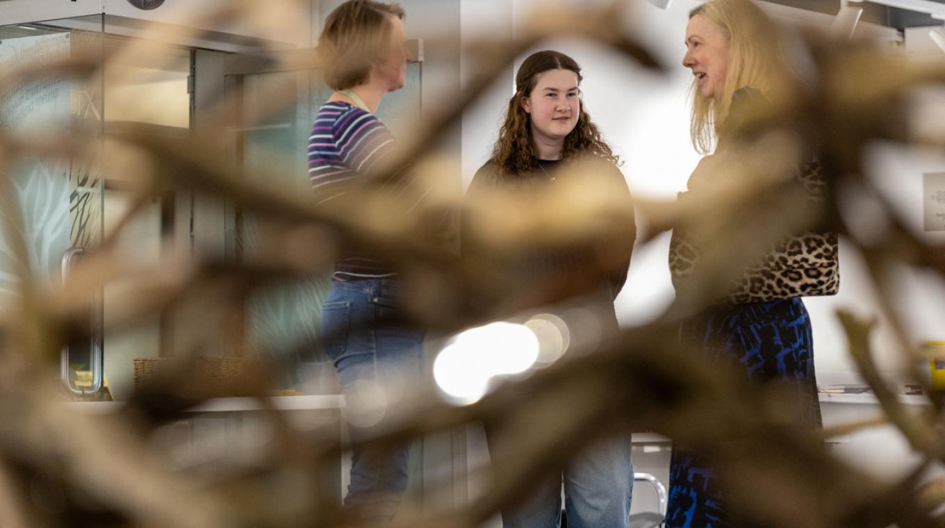 people talking in a gallery with big sticks in the foreground